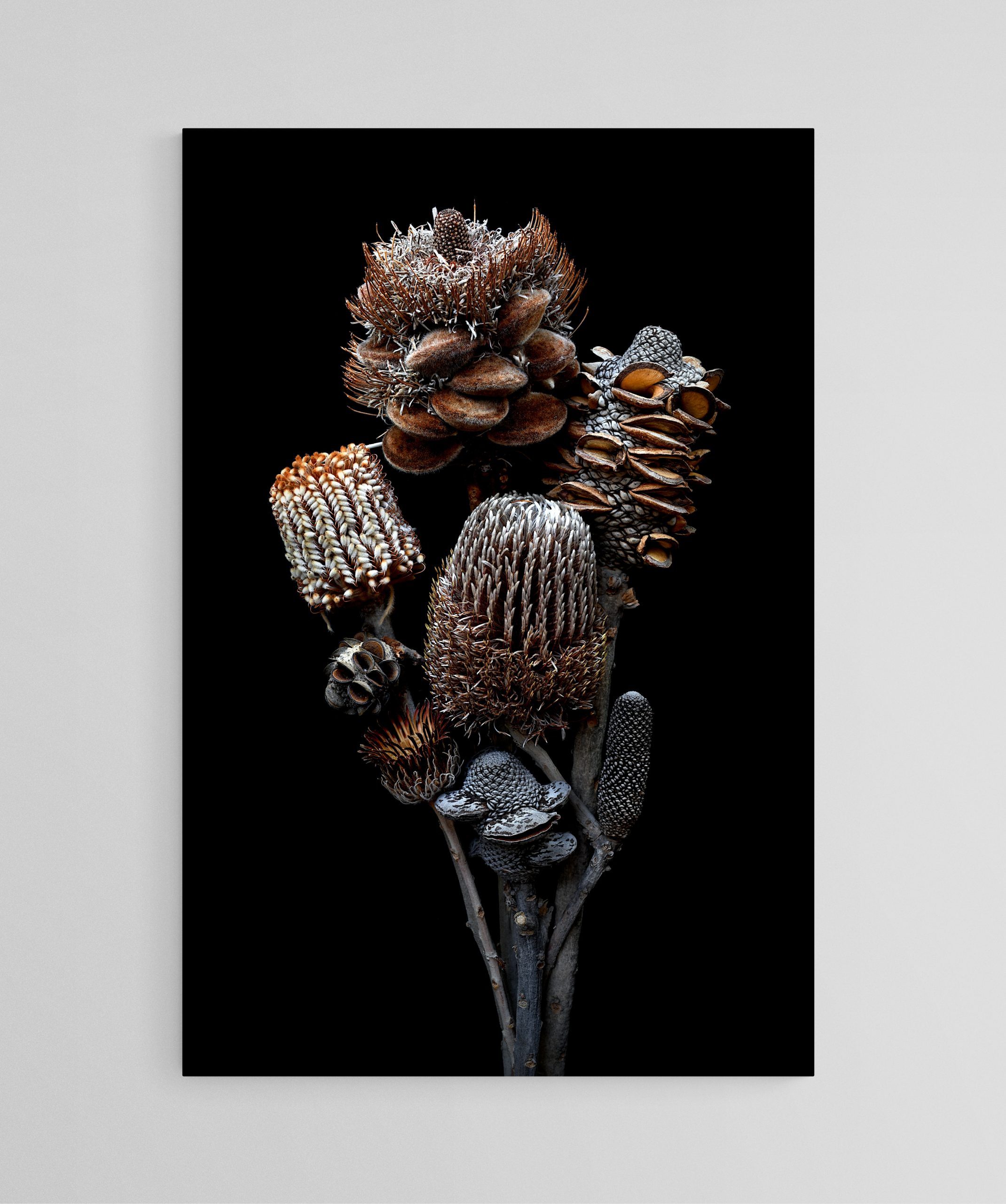 Empty Room 2025 03 07t184014.985