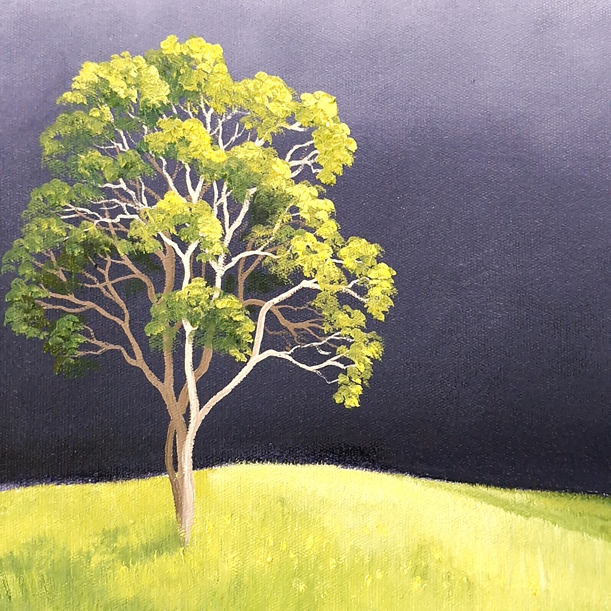 Silence Before The Storm Lucinda Leveille 1