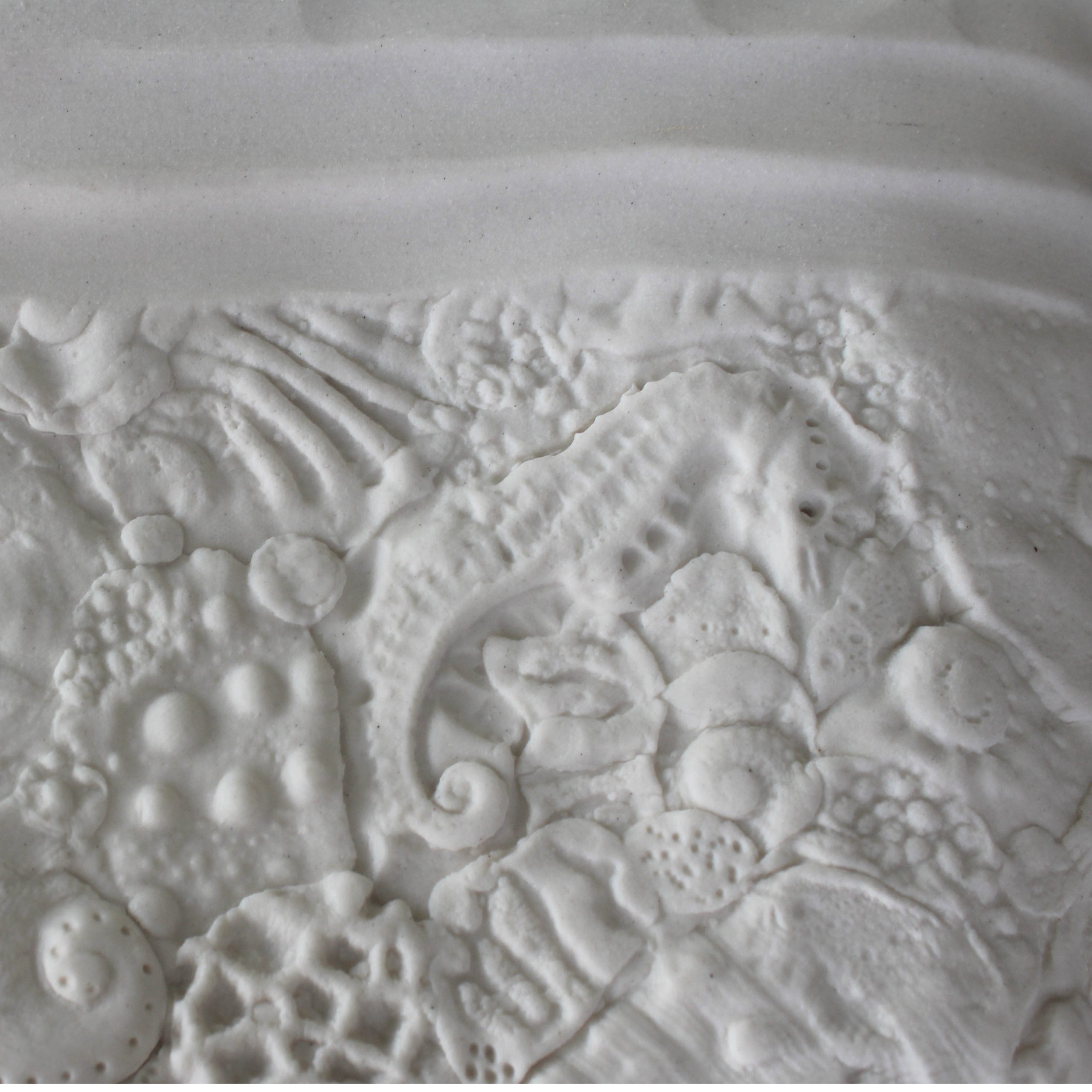 Reef Memories Wall Plaque 2 Carol Forster Art Lovers Australia