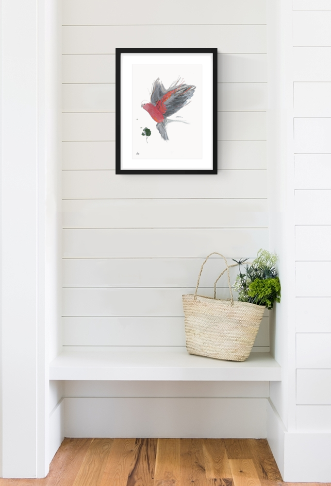 Sketchmotion Galah Ii Country Hall