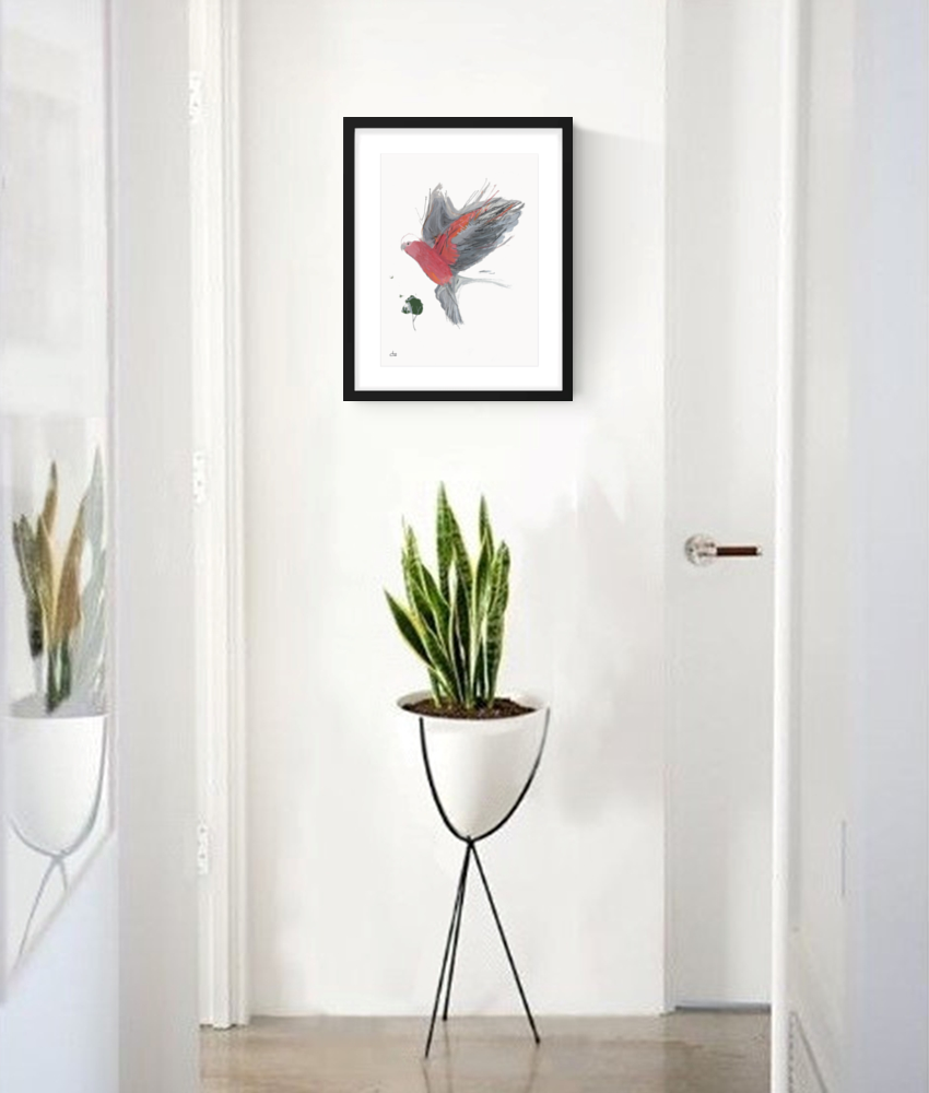 Sketchmotion Galah Ii Hall