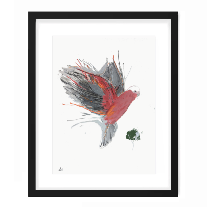 Sketch Motion Galah I  Framed