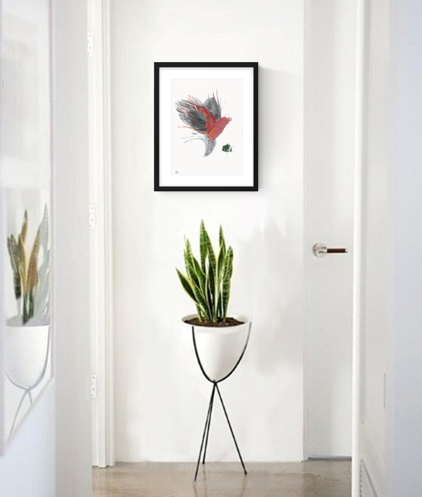 Sketchmotion Galah I Hall