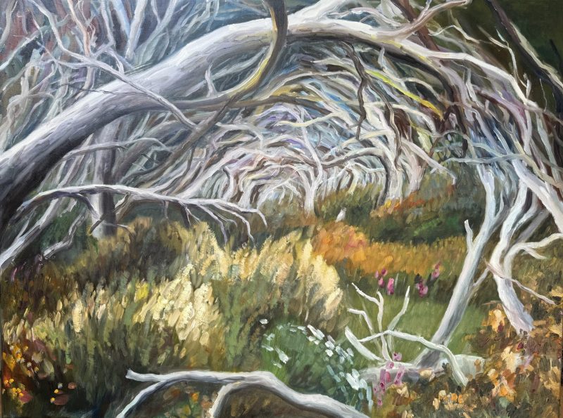 High Country, Mt Stirling