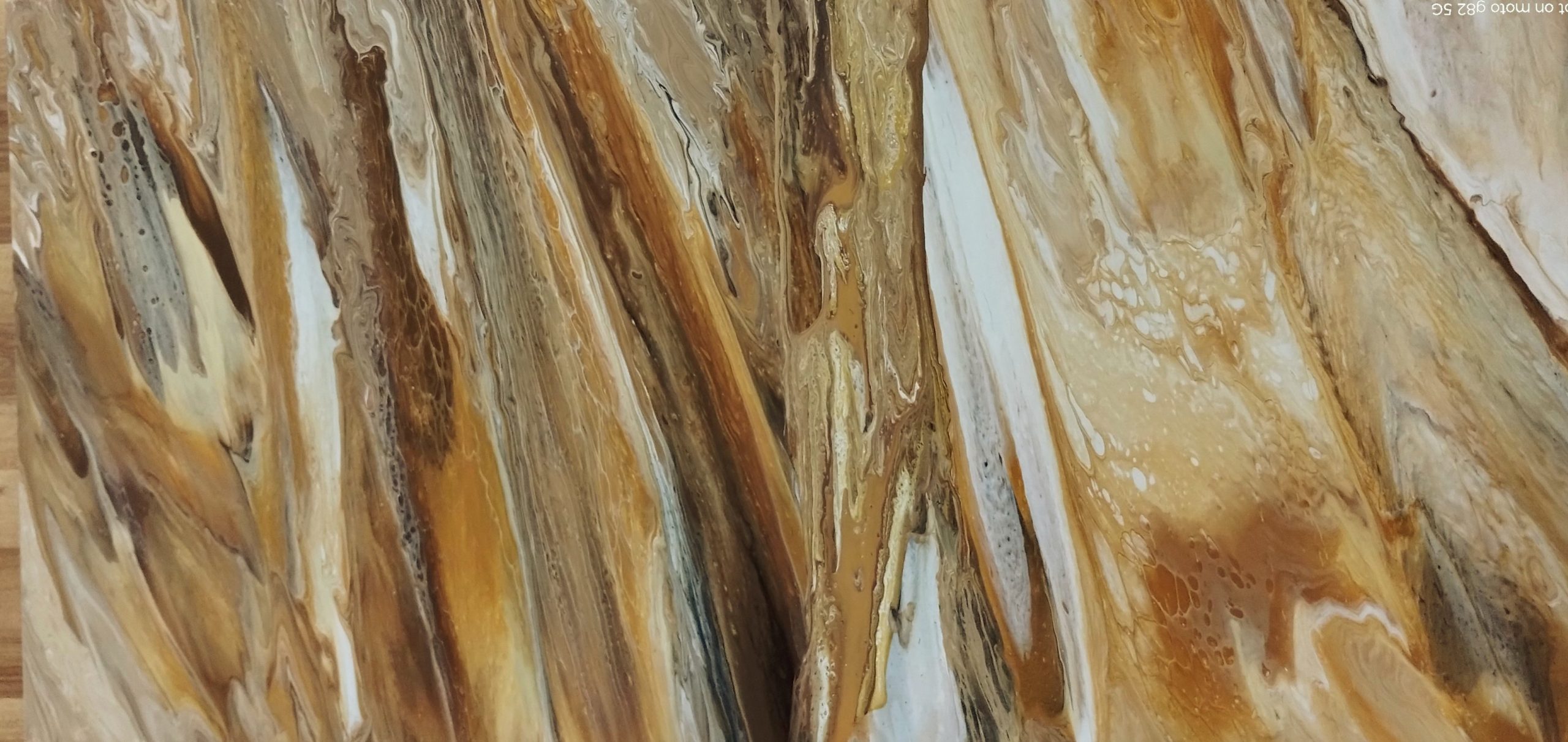 Img 20250319 113702006~4