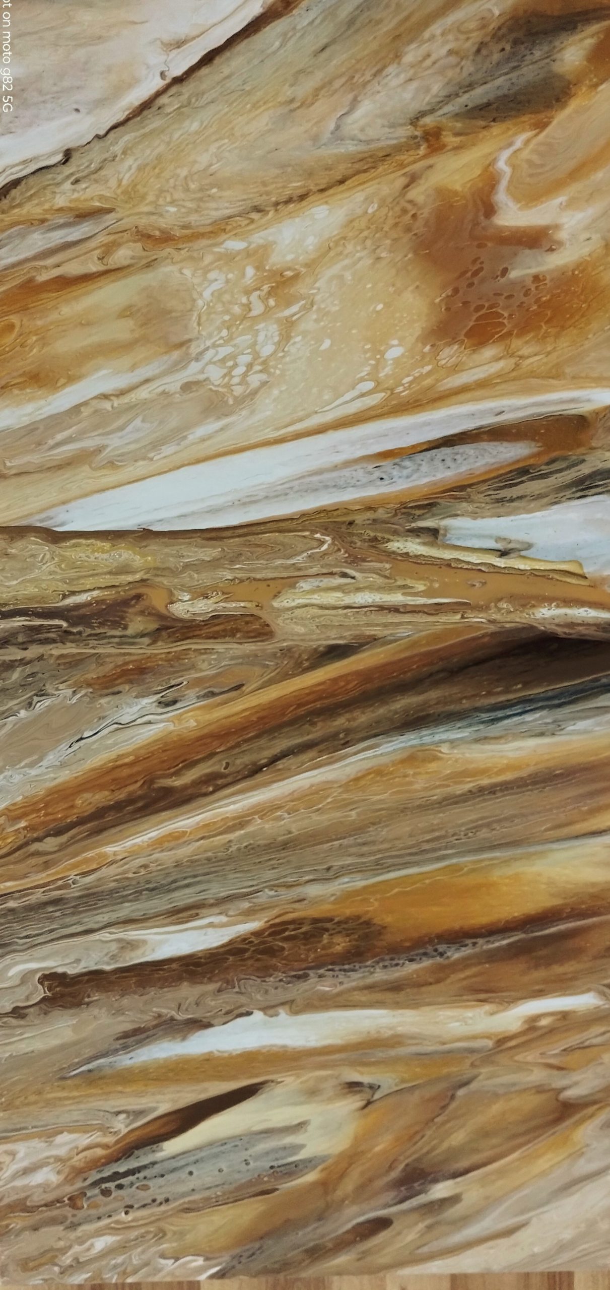 Img 20250319 113702006~5