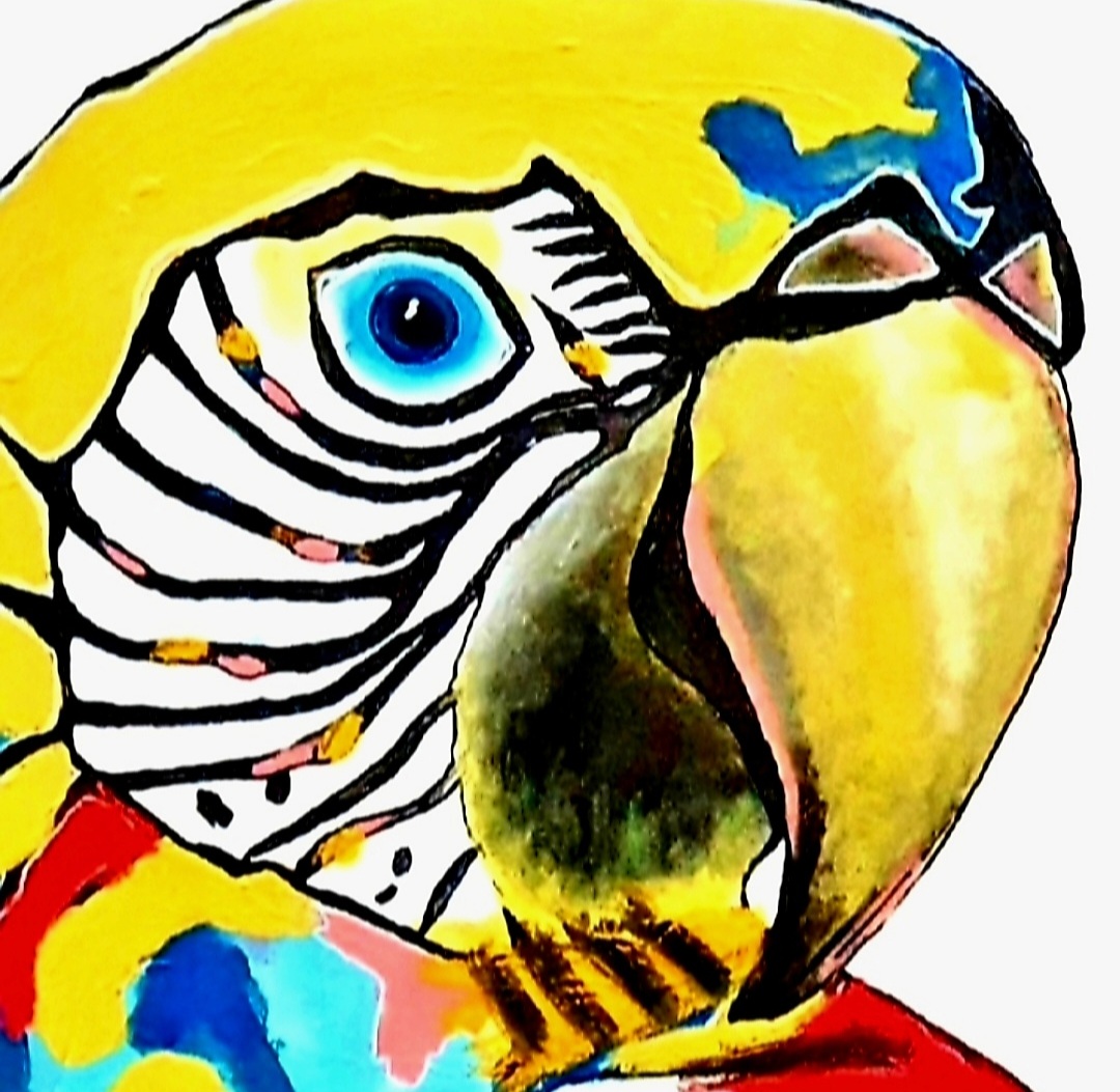 Screenshot 20250319 233703 Gallery