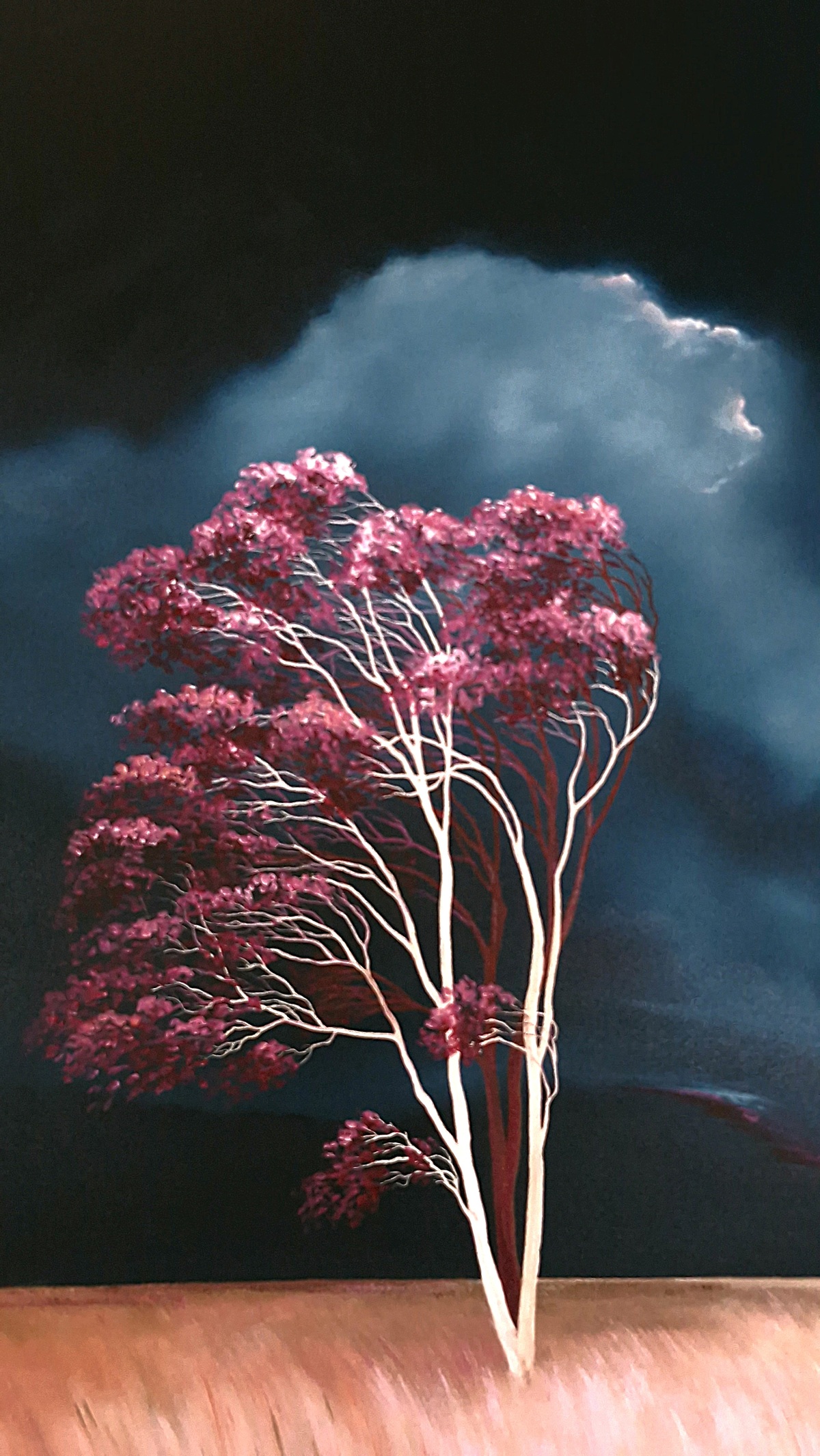 The Wind A Whisper Then A Roar Lucinda Leveille C