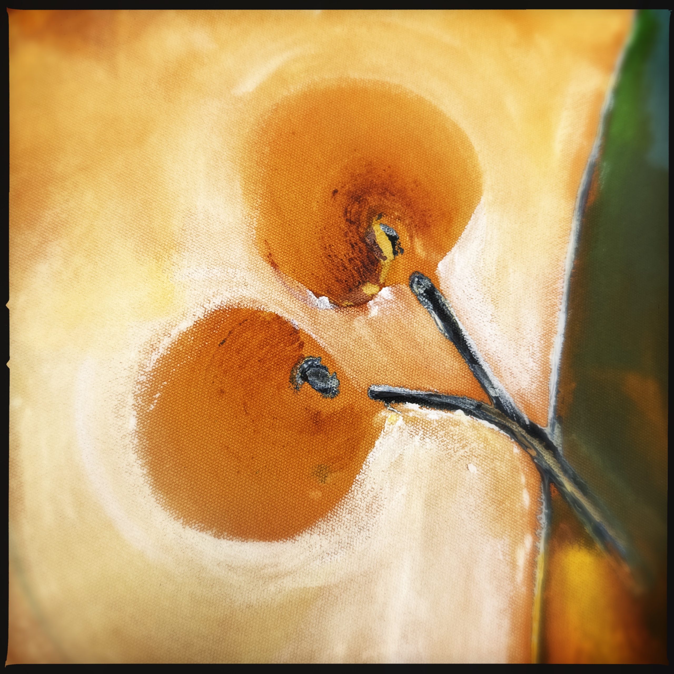 Hipstamaticphoto 763259758.601604