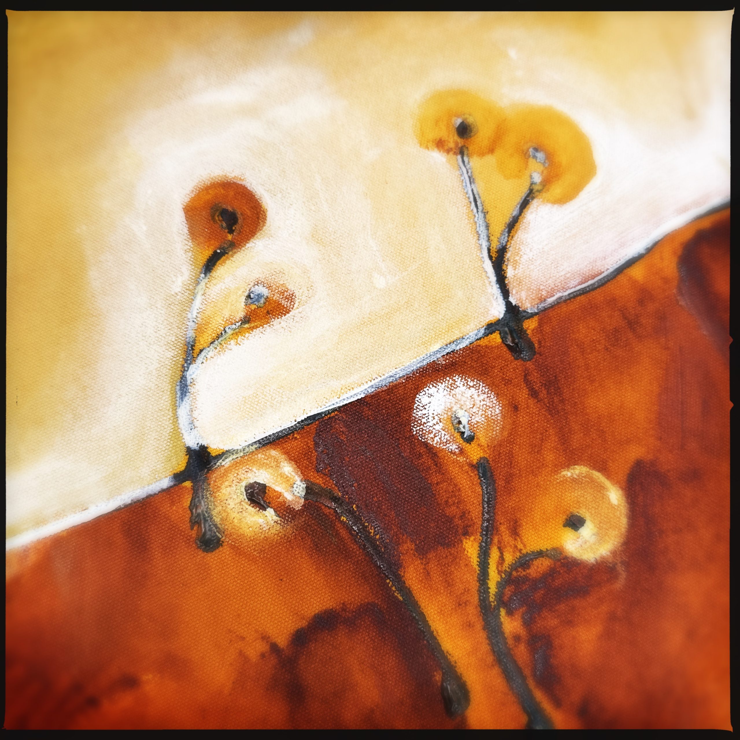 Hipstamaticphoto 763259762.547648