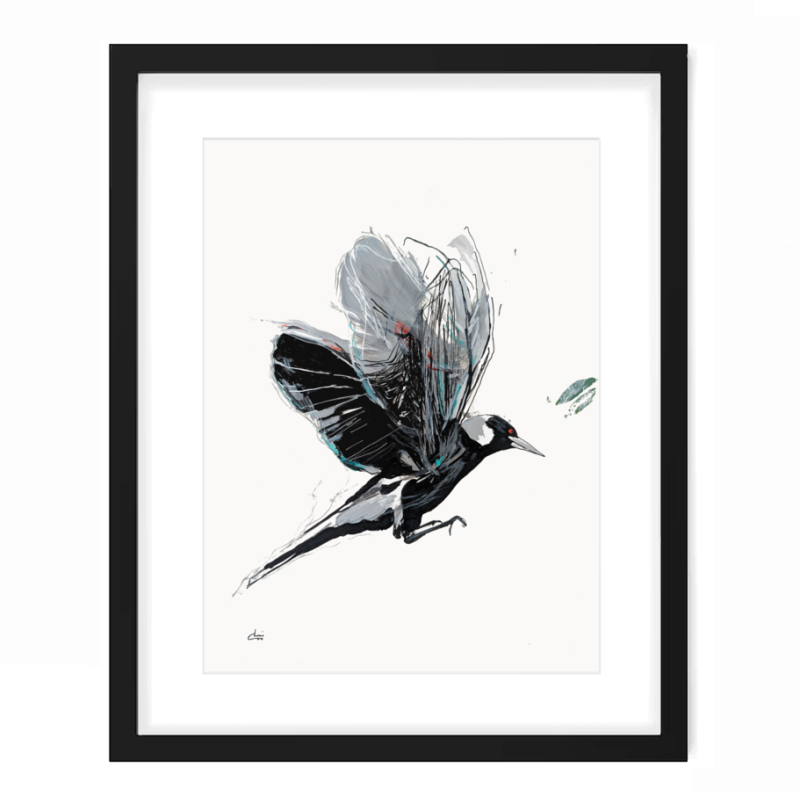Sketchmotion Magpie