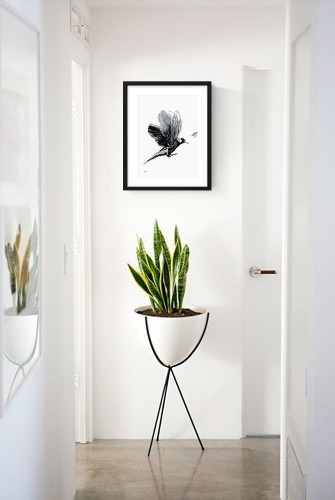 Sketchmotion Magpie I Hall