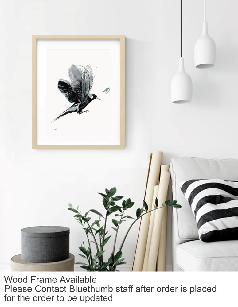 Sketchmotion Magpie I Wood Option