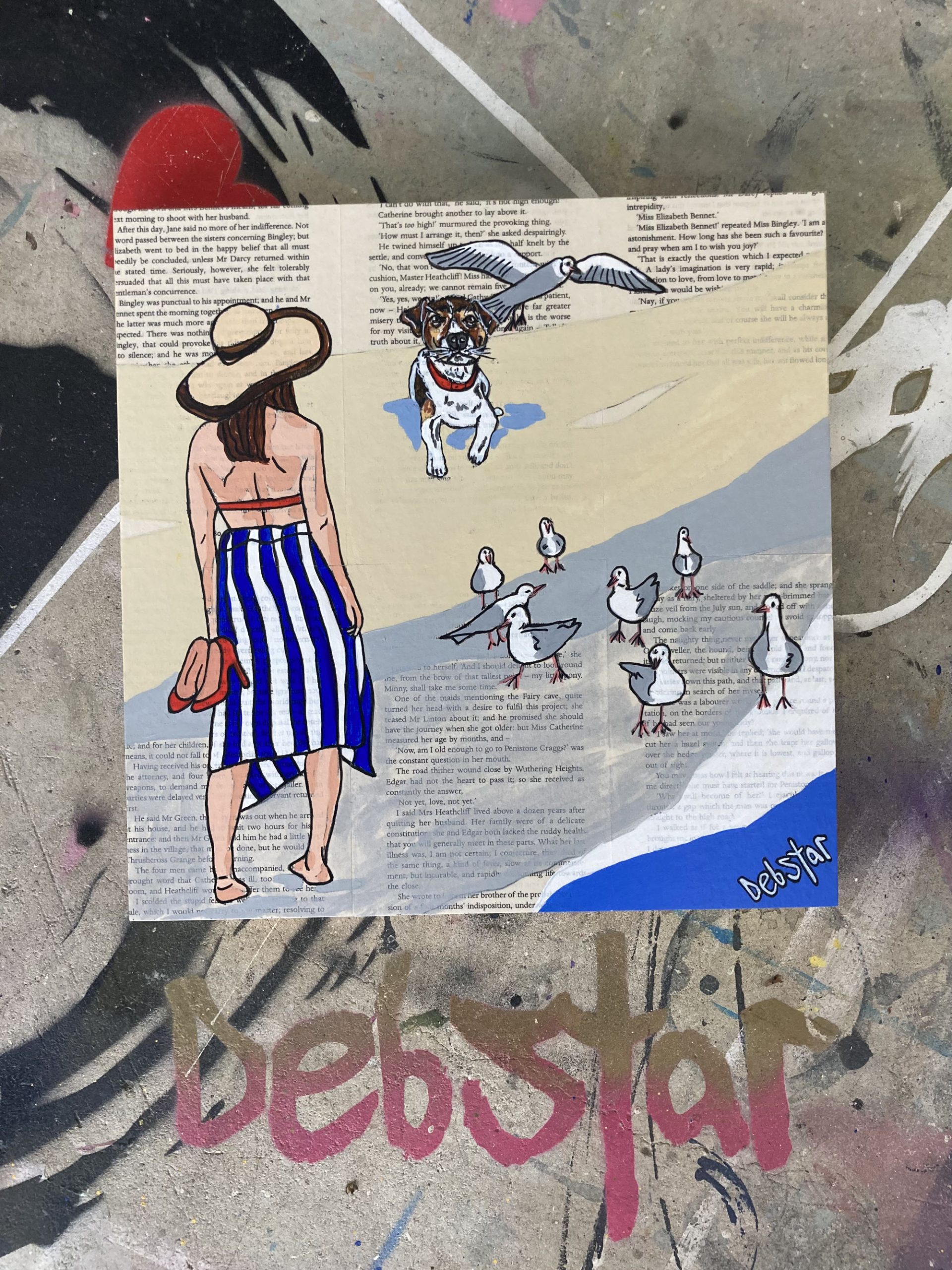 Dog Days Brd Watching Deborah Lang Debstar 4