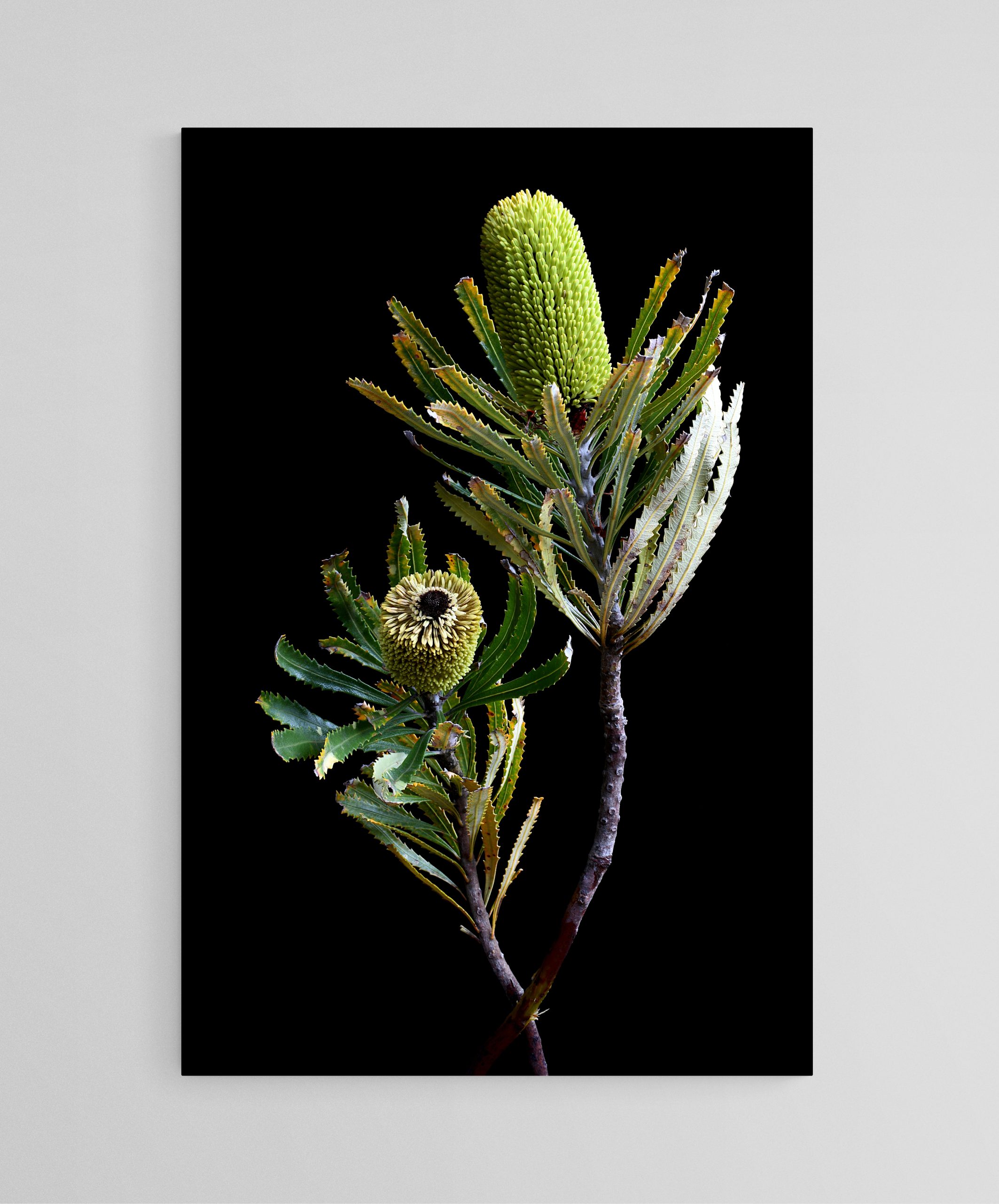 Empty Room 2024 12 19t185422.414