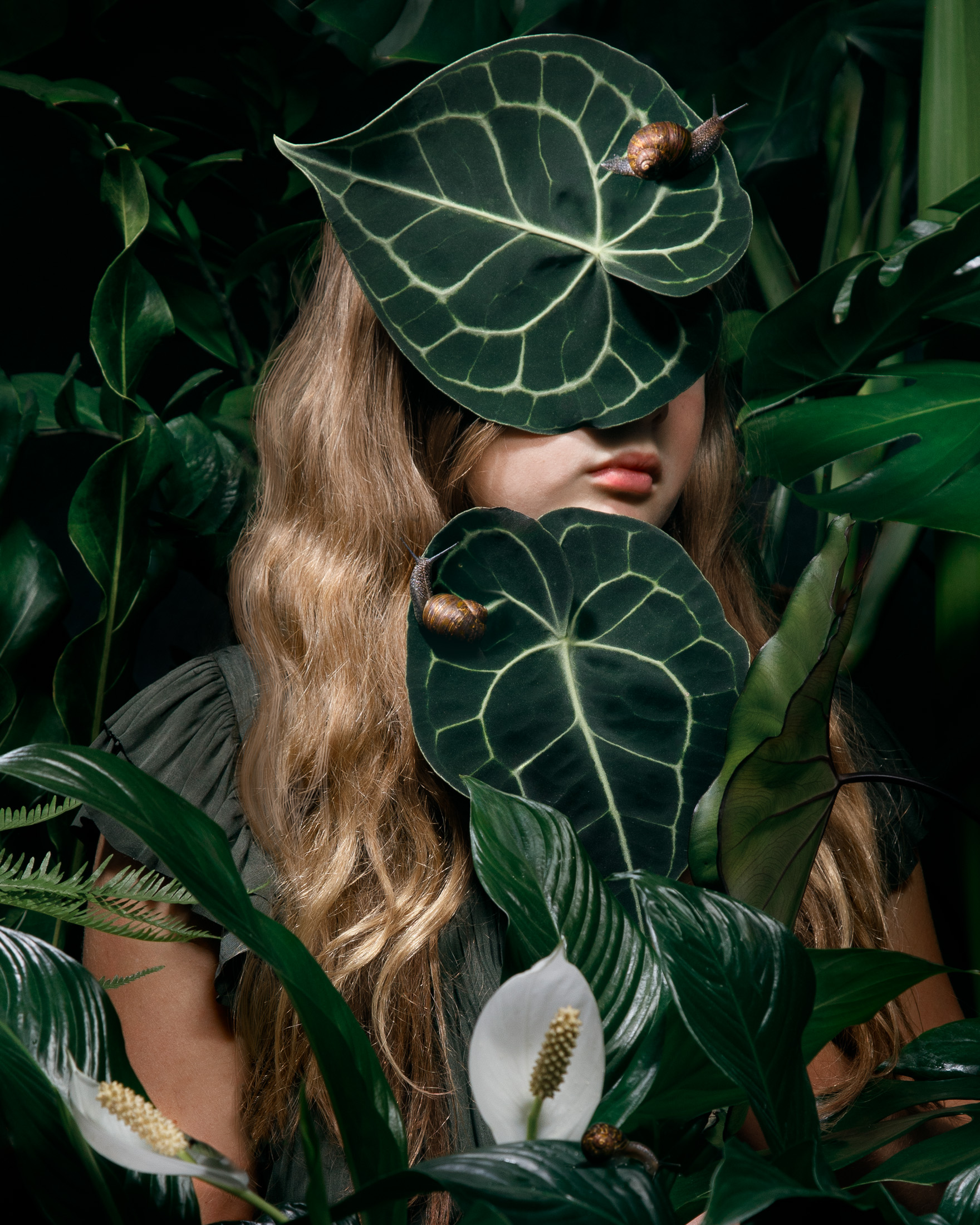 Web The Biophil 2 Close 