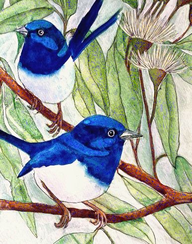 Mbj 425 Blue Wren Detail