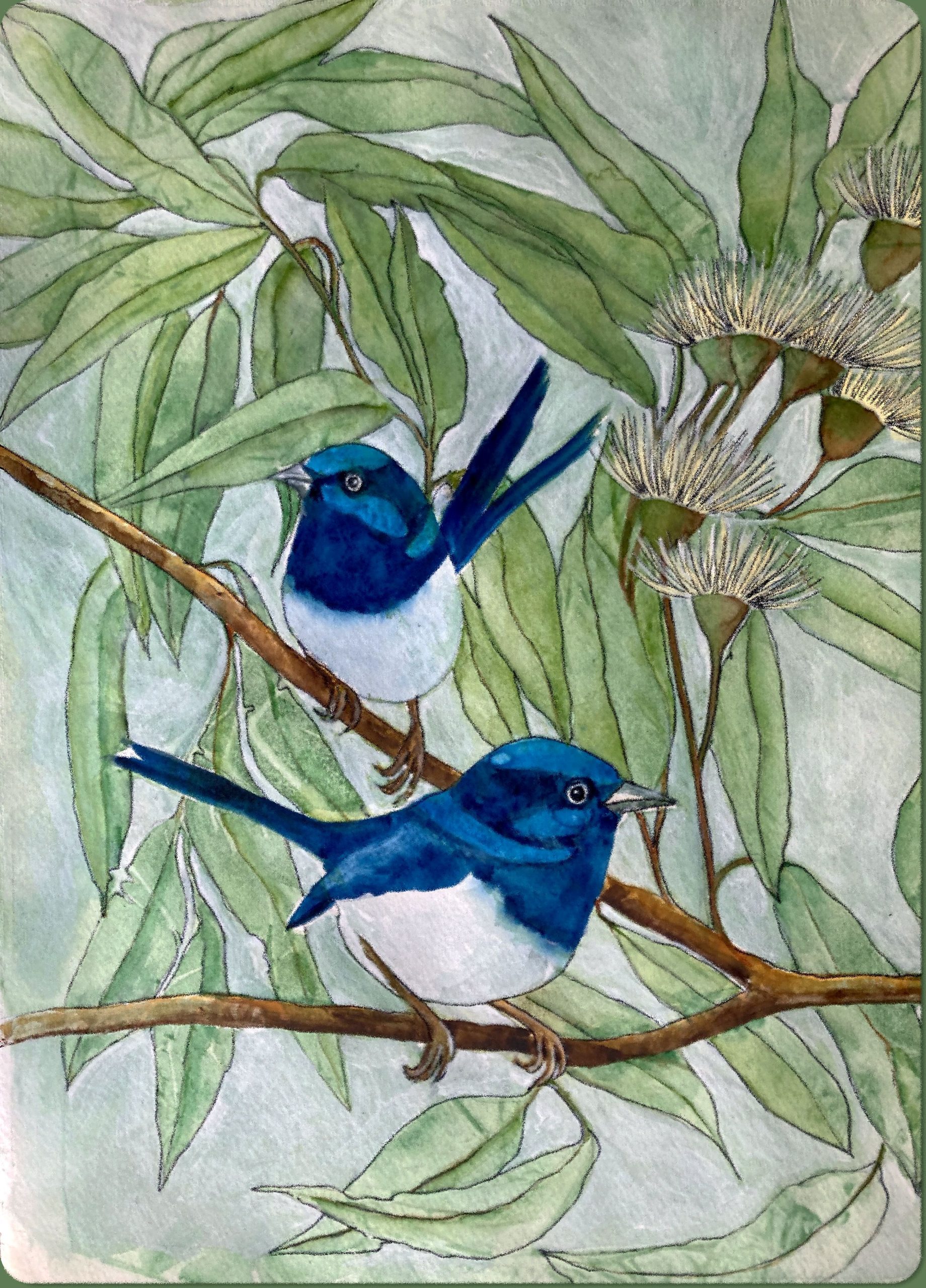 Mbj 425 Blue Wren Friends