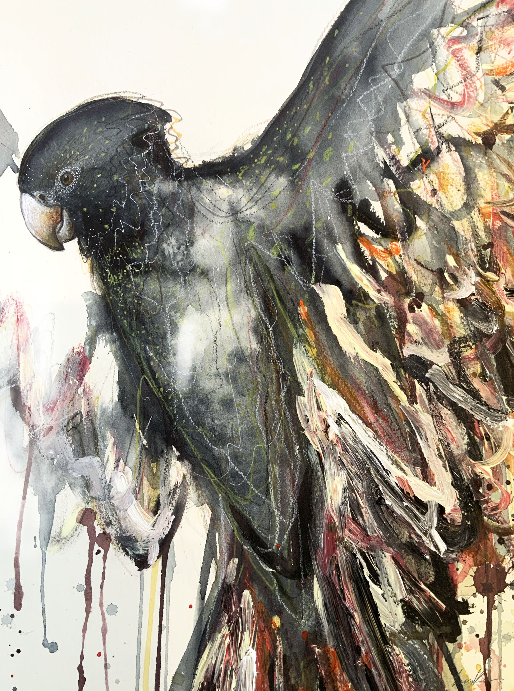 Sydney Artist Leni Kae Flight Of The Black Cockatoo 56x76cm On Paper Closeup