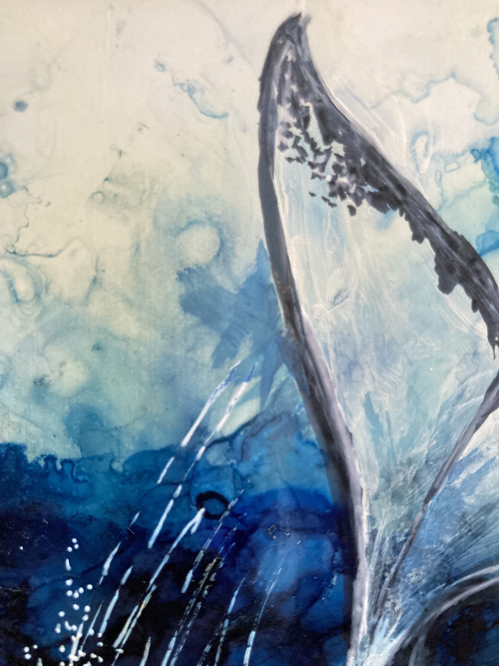 Mbj 440 What A Fluke Detail