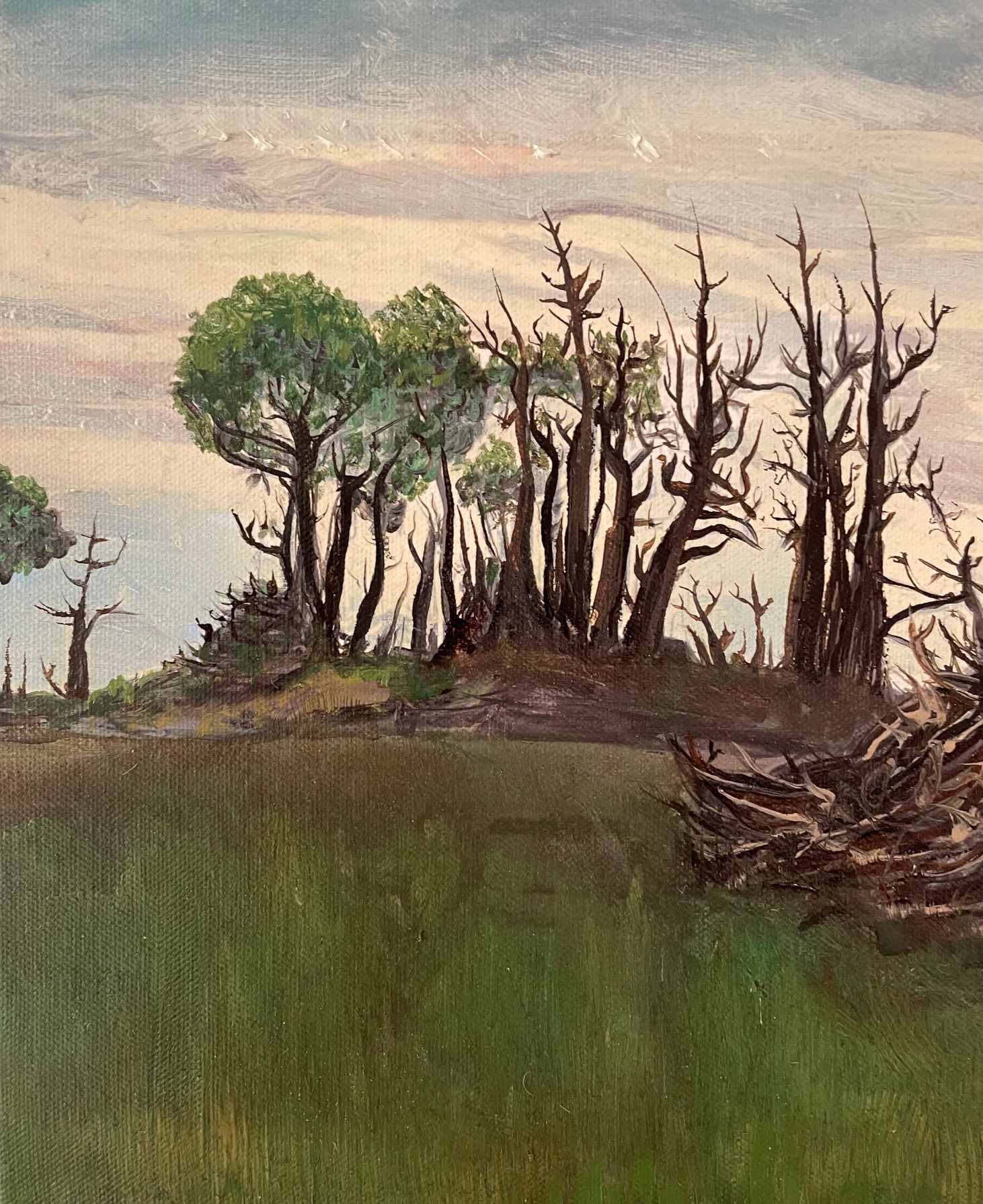 Detail Black Dog In Landscape 1