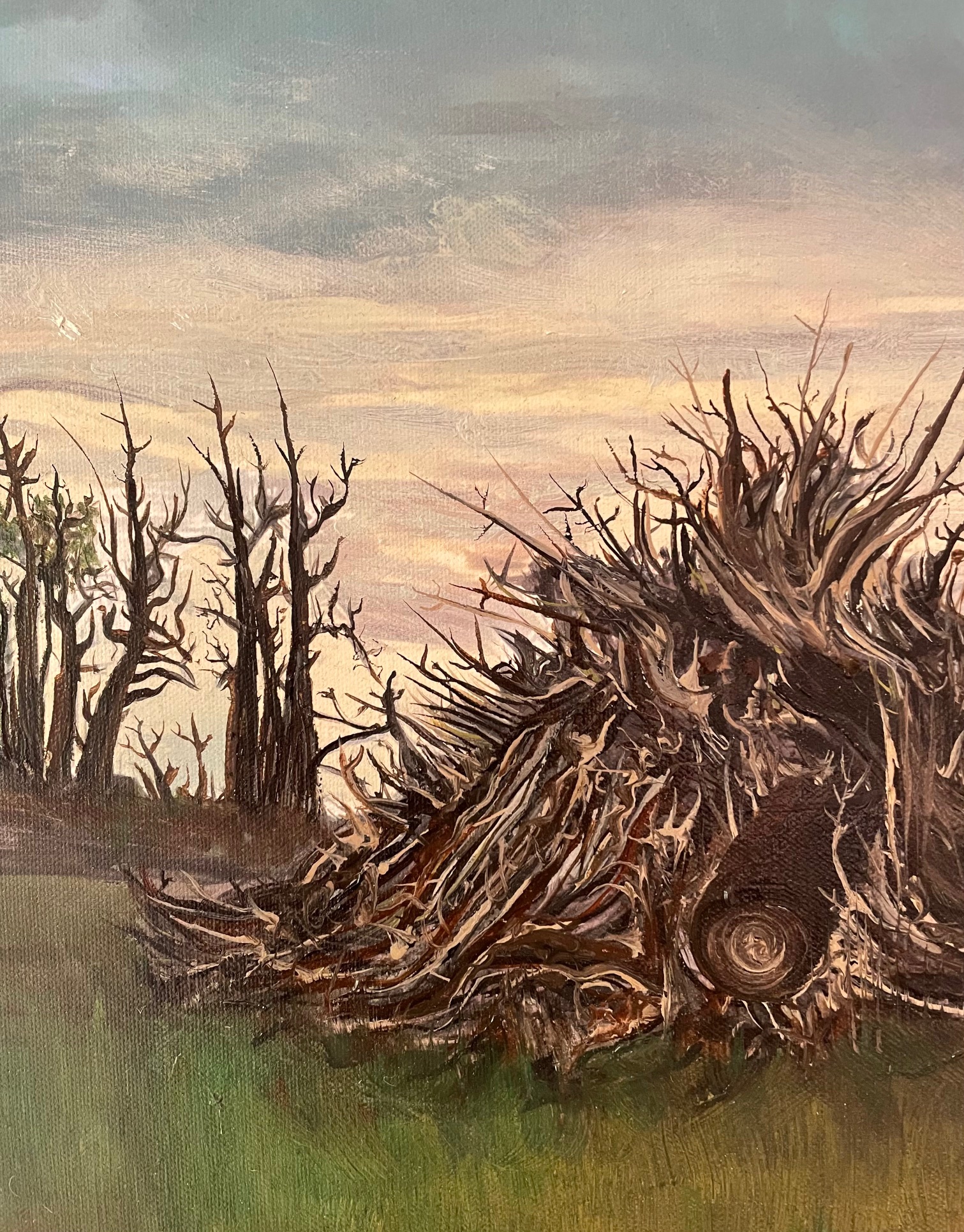 Detail Black Dog In Landscape