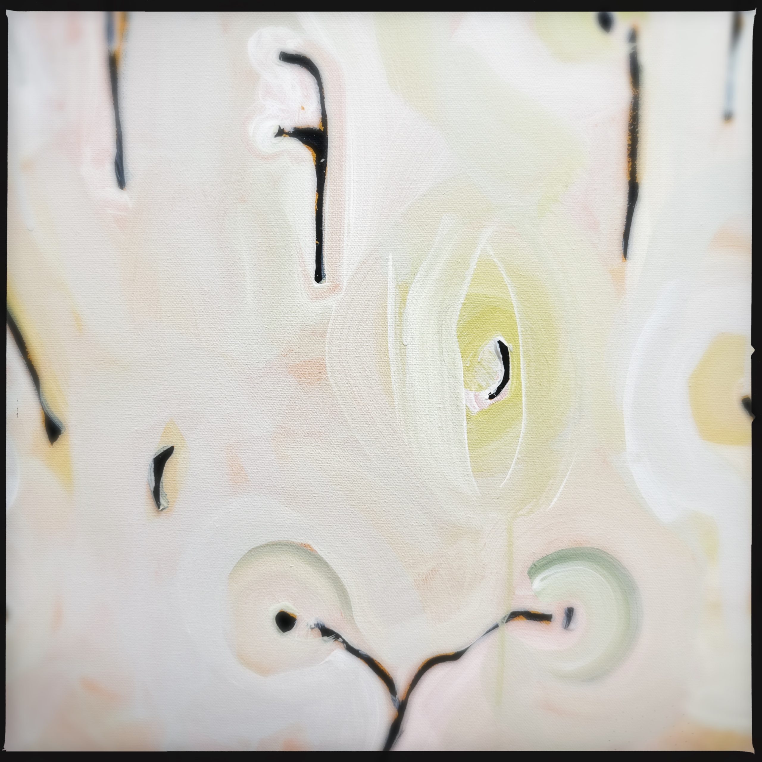 Hipstamaticphoto 754894455.035052