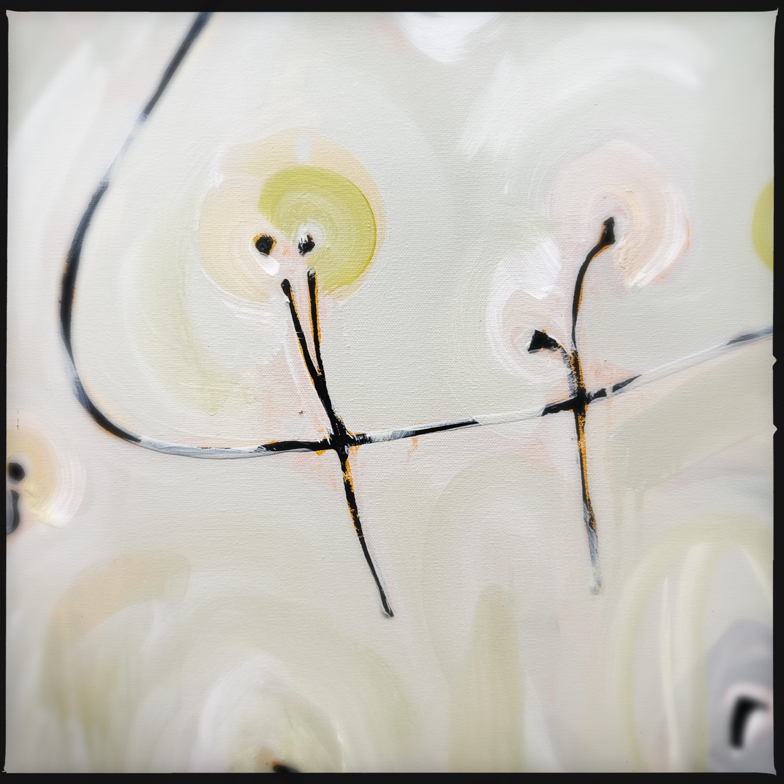 Hipstamaticphoto 754894461.046095