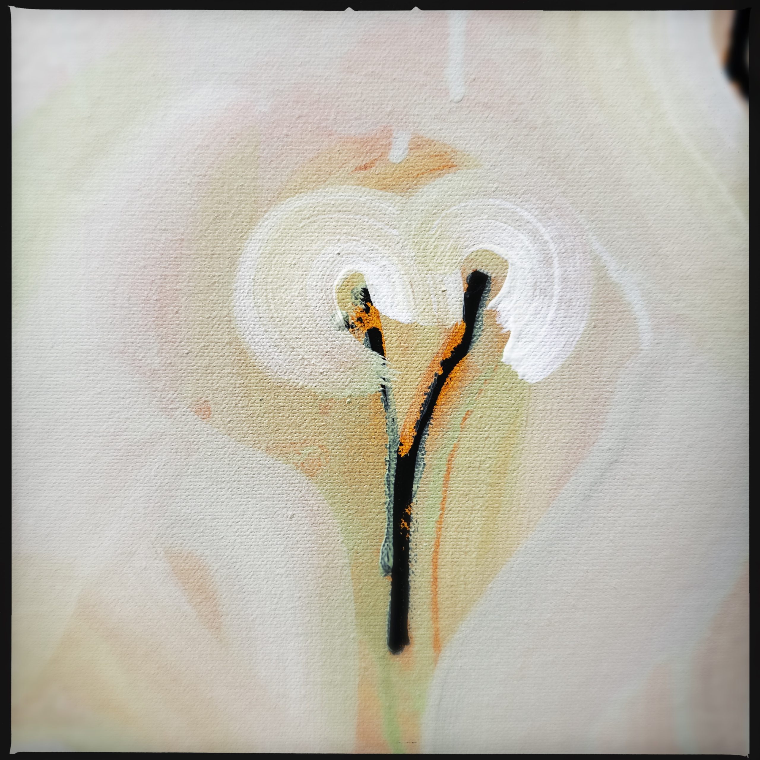 Hipstamaticphoto 754894469.251225