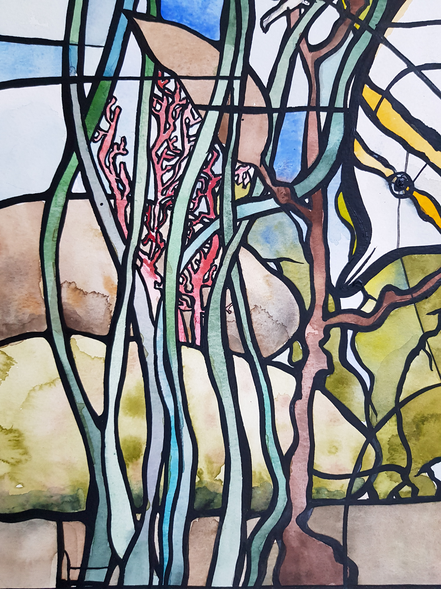 Coral Garden By Nicola Cowie Underwater