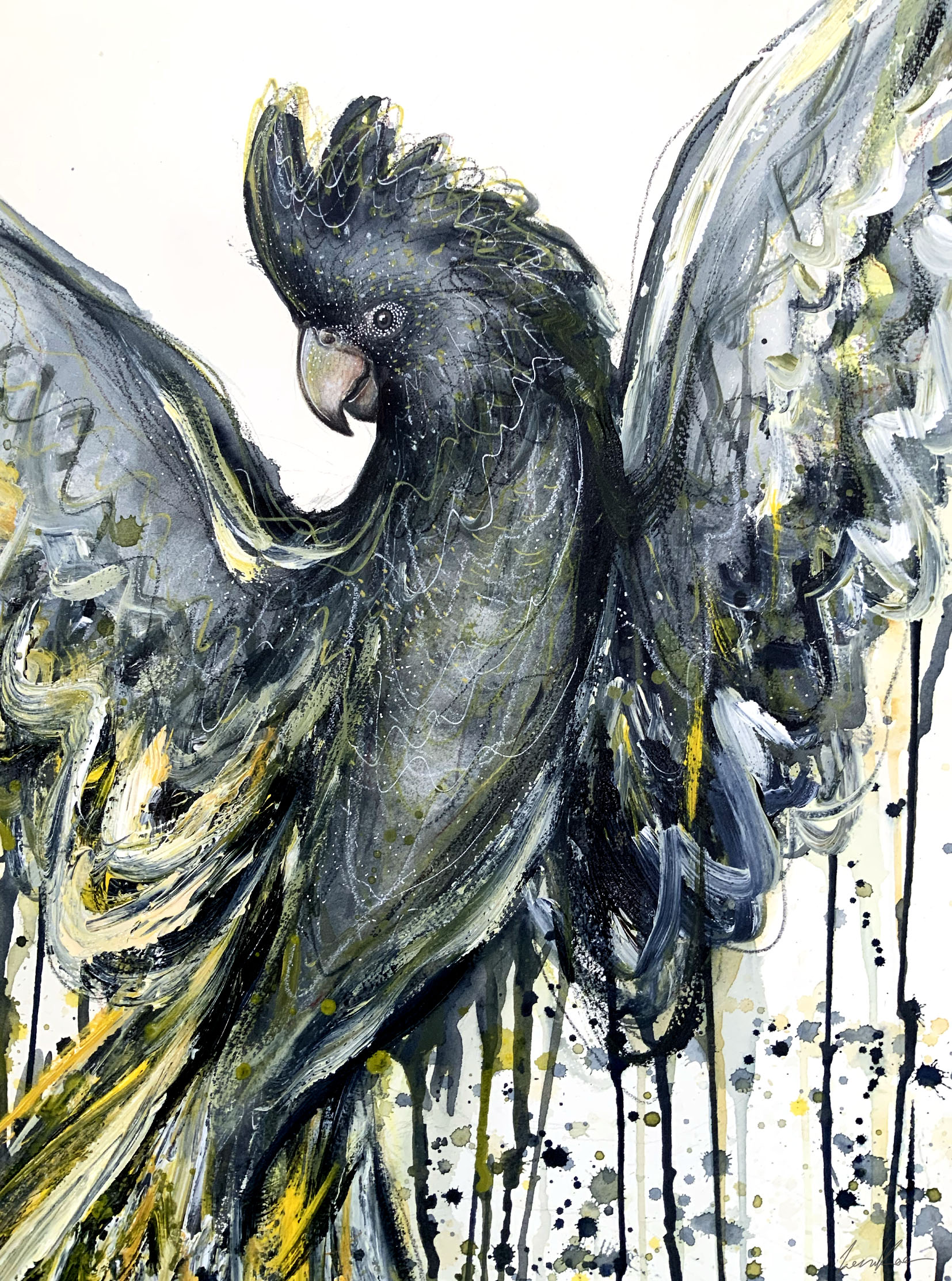 Leni Kae Yellow Tailed Black Cockatoo Spirit Closeup