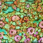 User 4194 Marta 2025 04 17 T 09 17 01 120 Z 331 Water Lilies.jpg