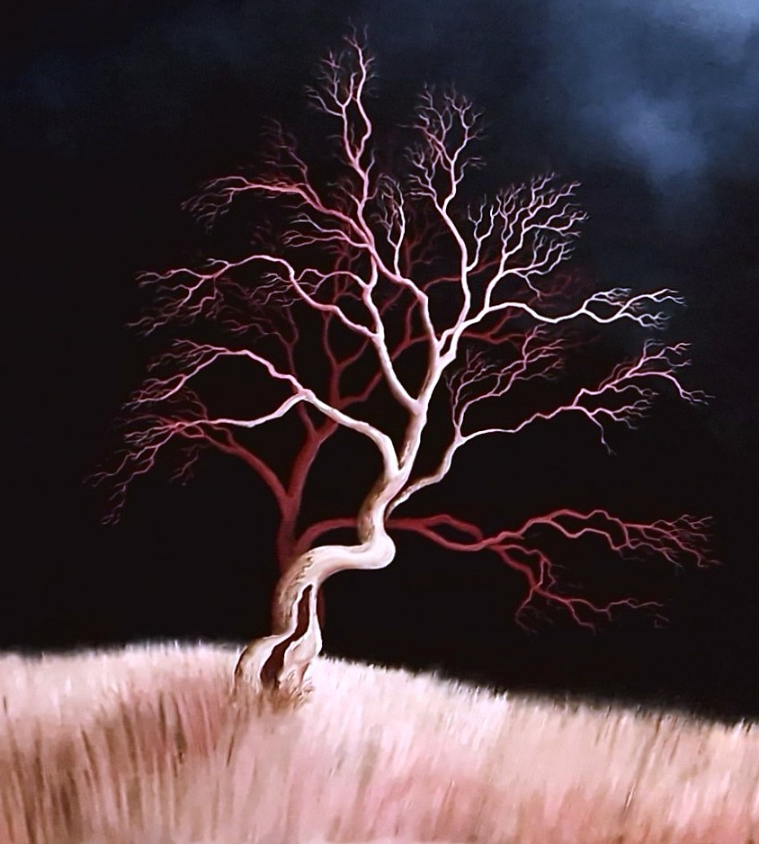 The Witness Tree Lucinda Leveille 1