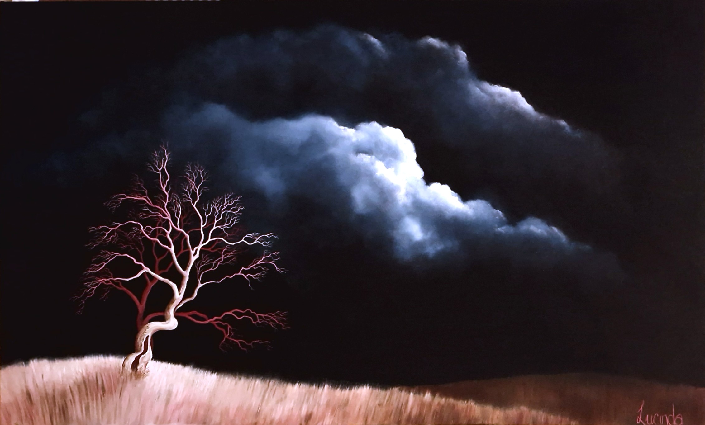 The Witness Tree Lucinda Leveille