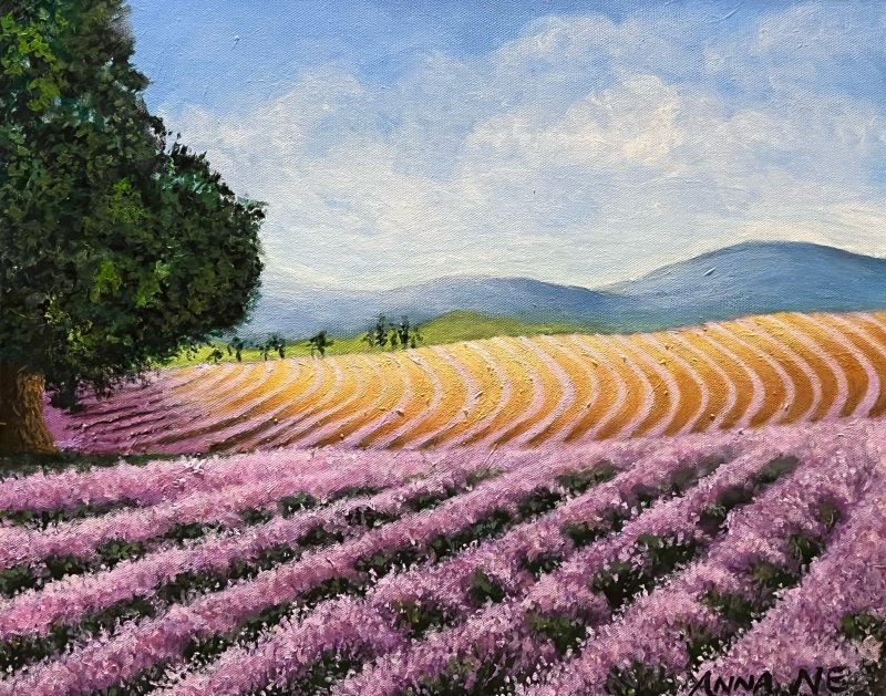 Lavender farm