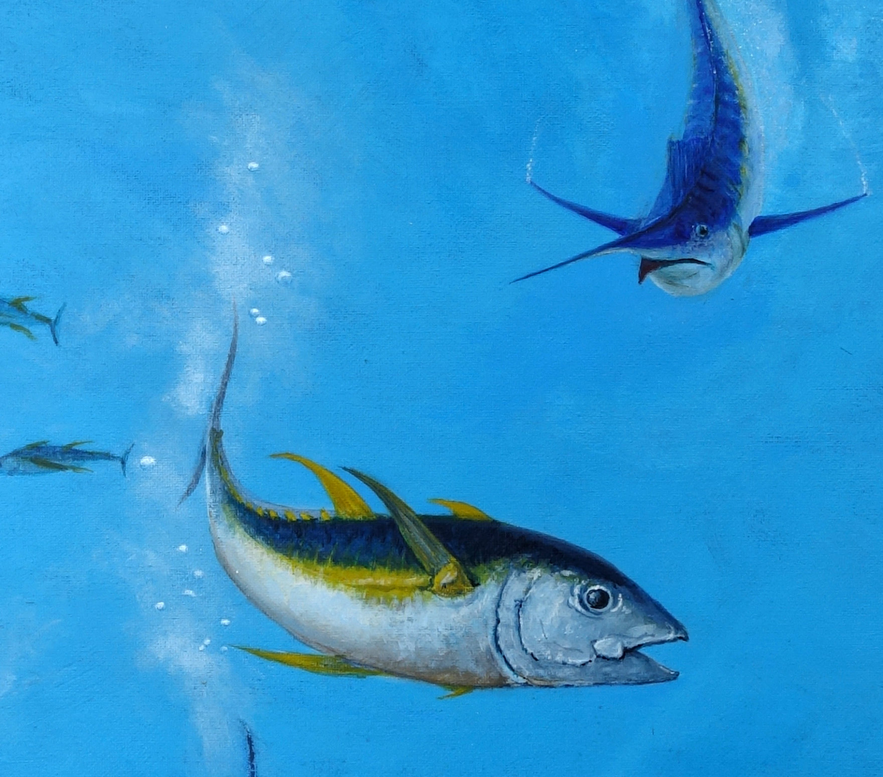 Marlin Hunt Cu 1550px