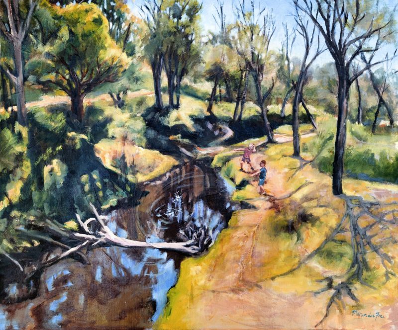 Skipping Stones on the Blackwood