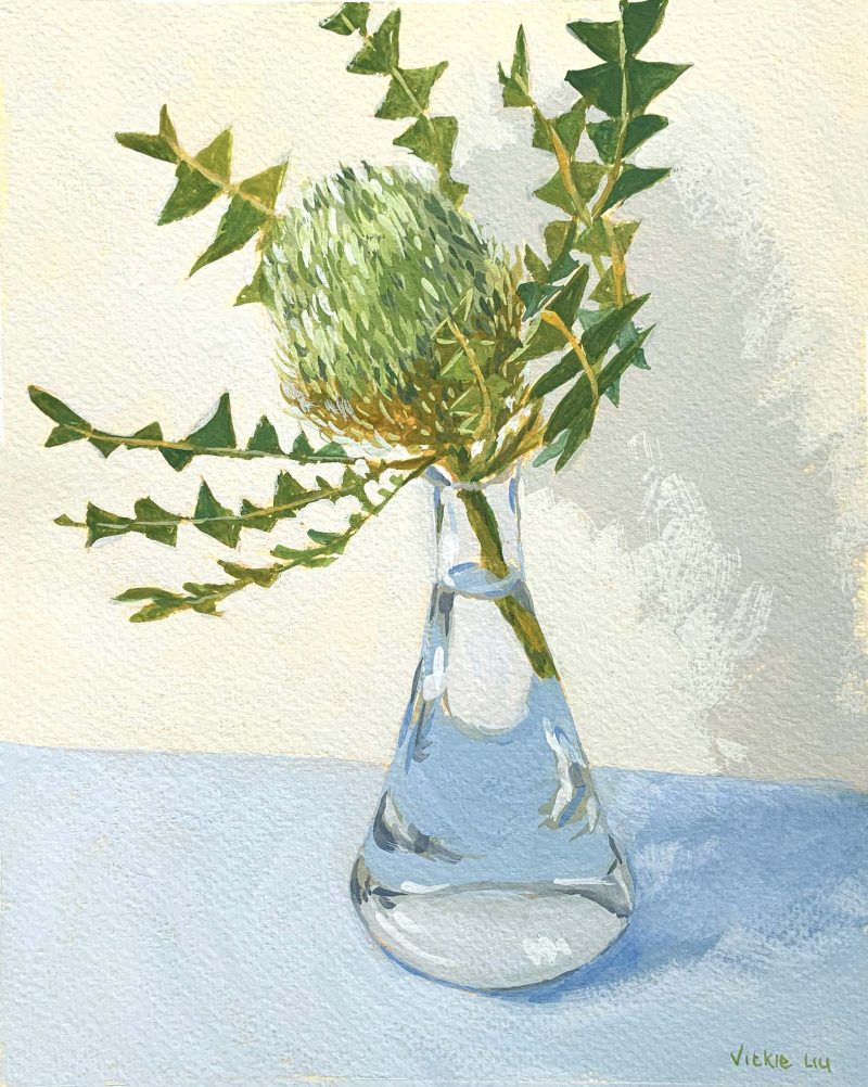 Birds Nest Banksia in Flask Still Life