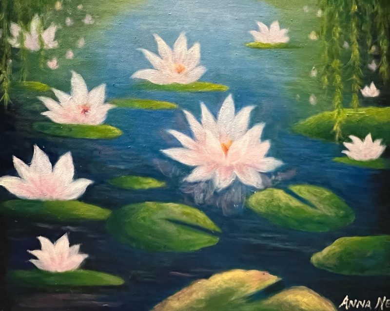 Water lilies