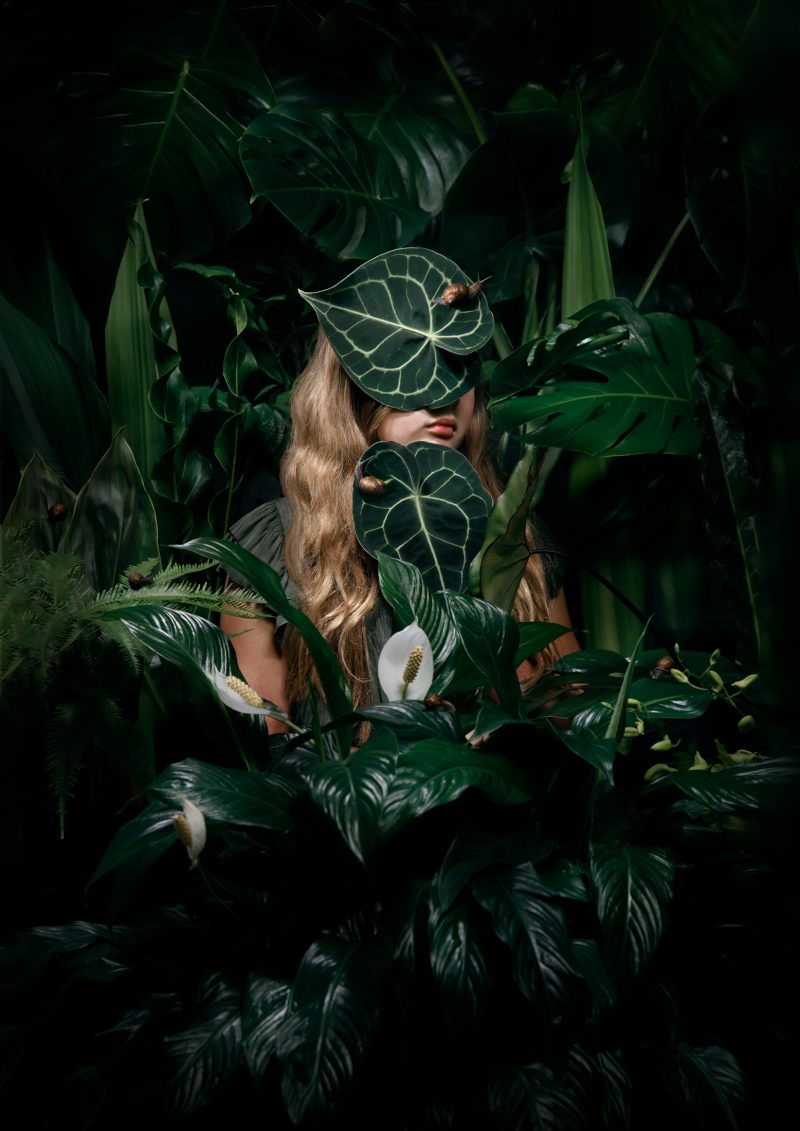 The Biophile No 2 Ltd Ed