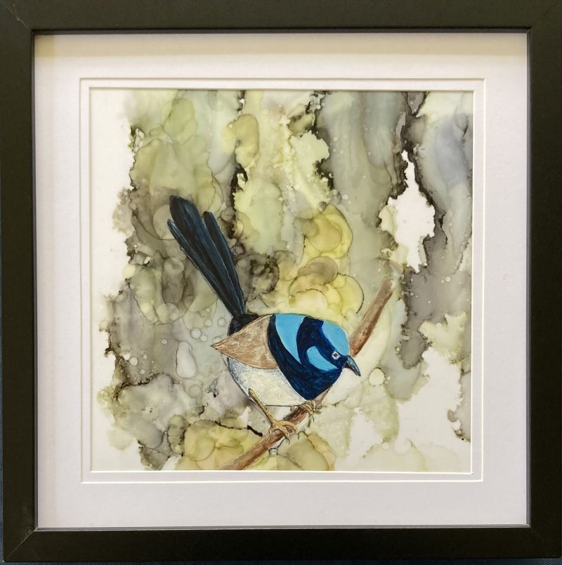 Blue Fairy Wren