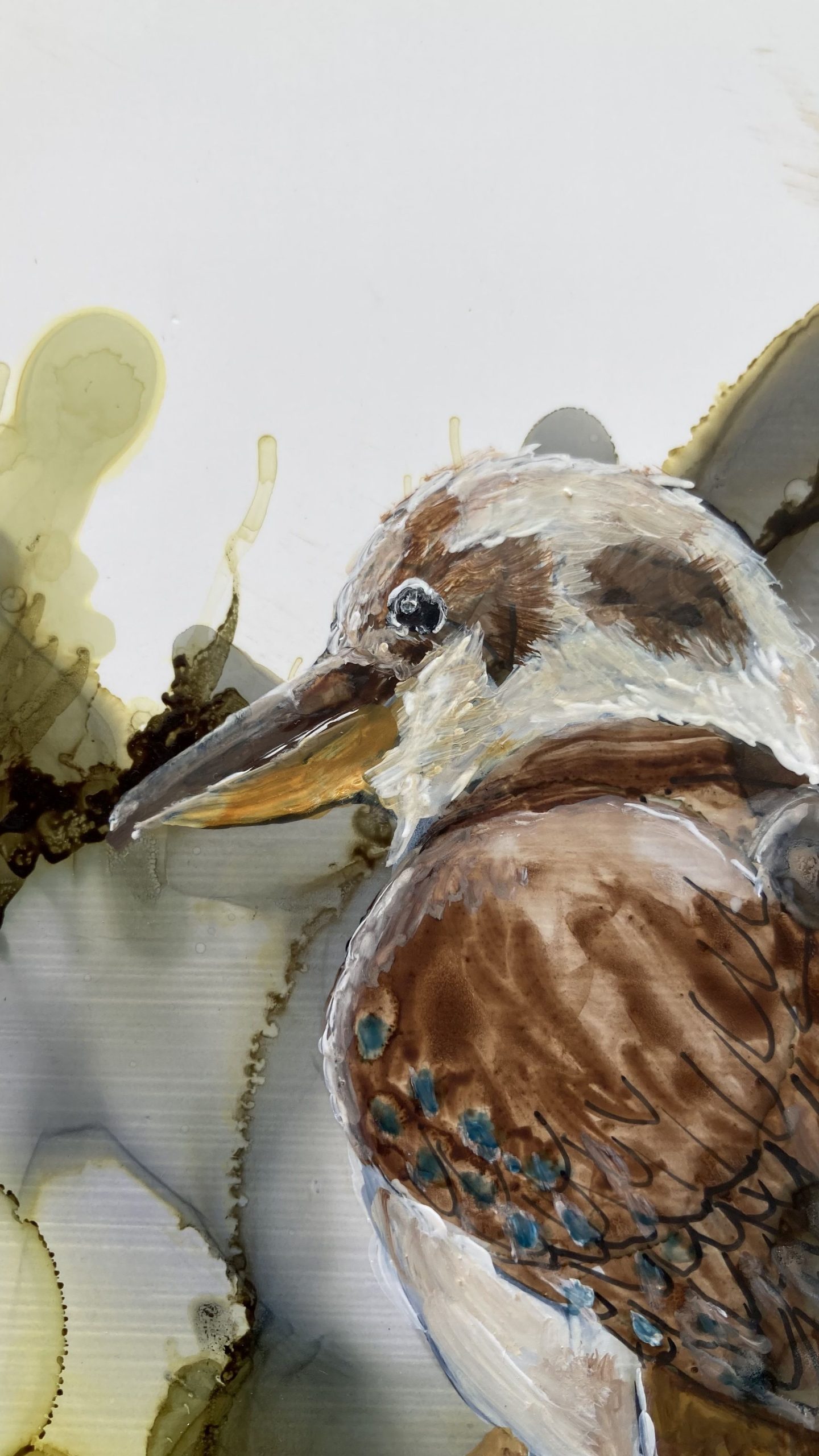 Mbj456 Kookaburra Detaill