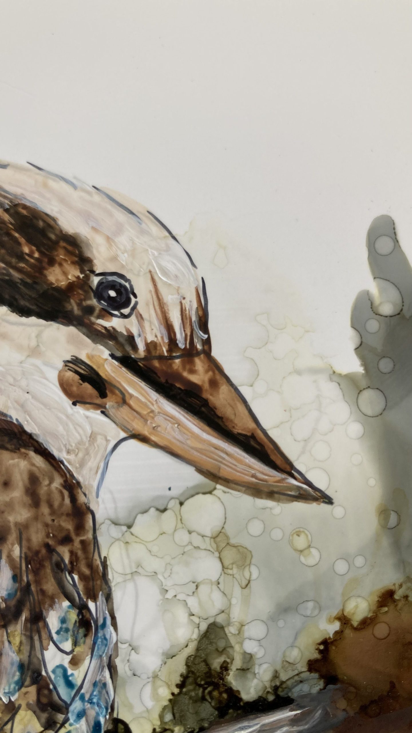 Mbj 457 Kokkaburra 2 Detai L