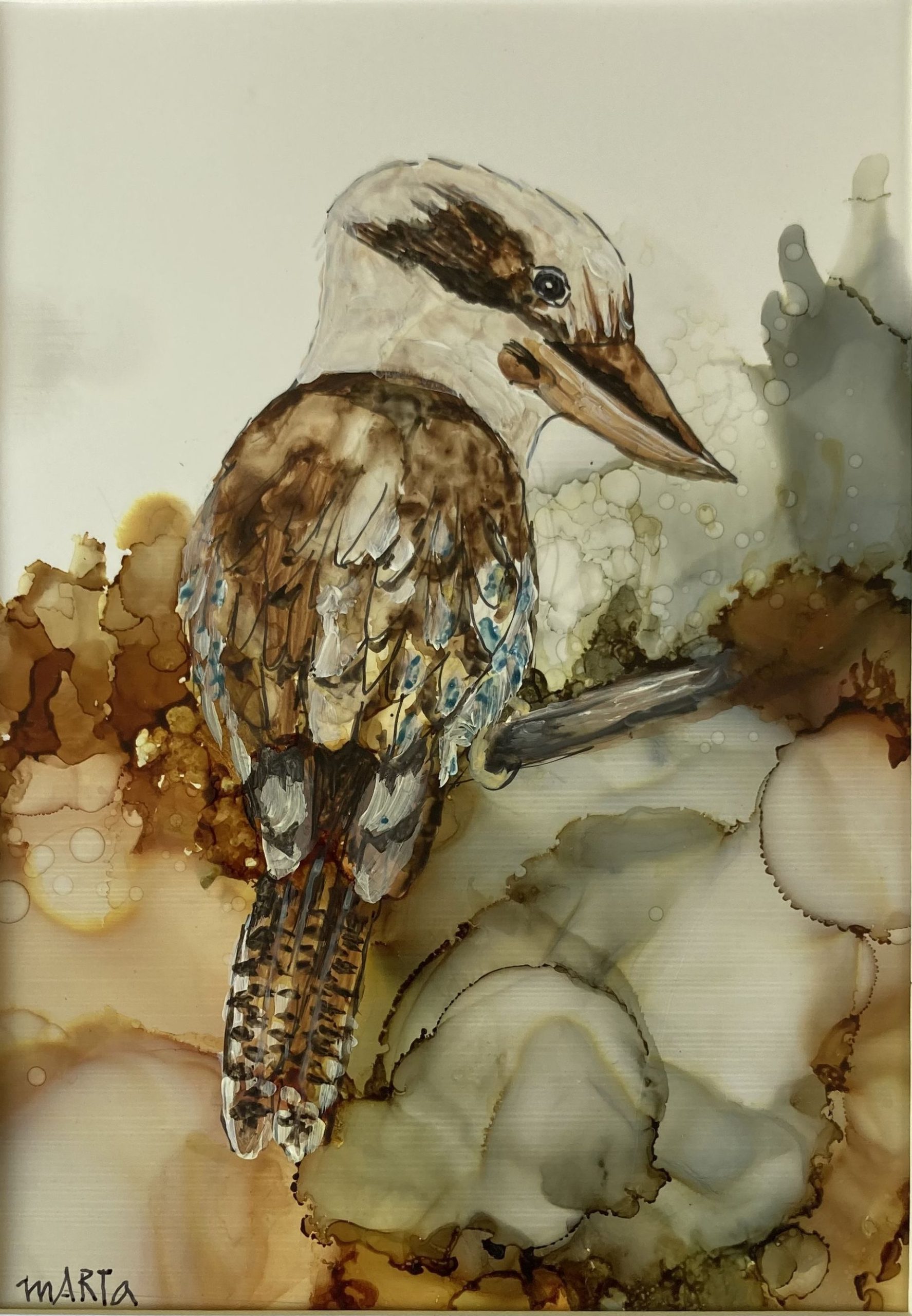 Mbj 457 Kokkaburra 2 Original