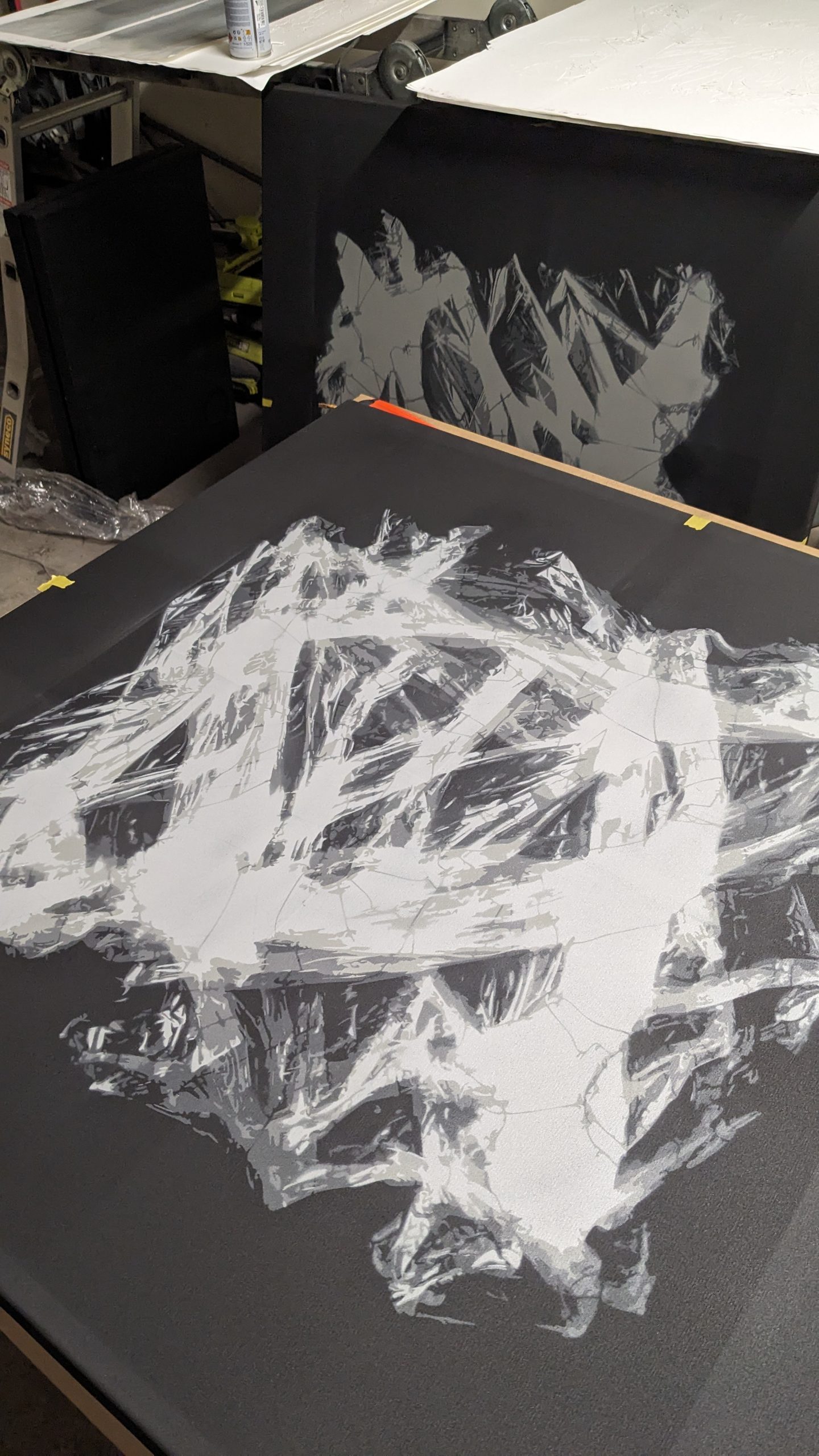 Pxl 20250411 120655912 (1)