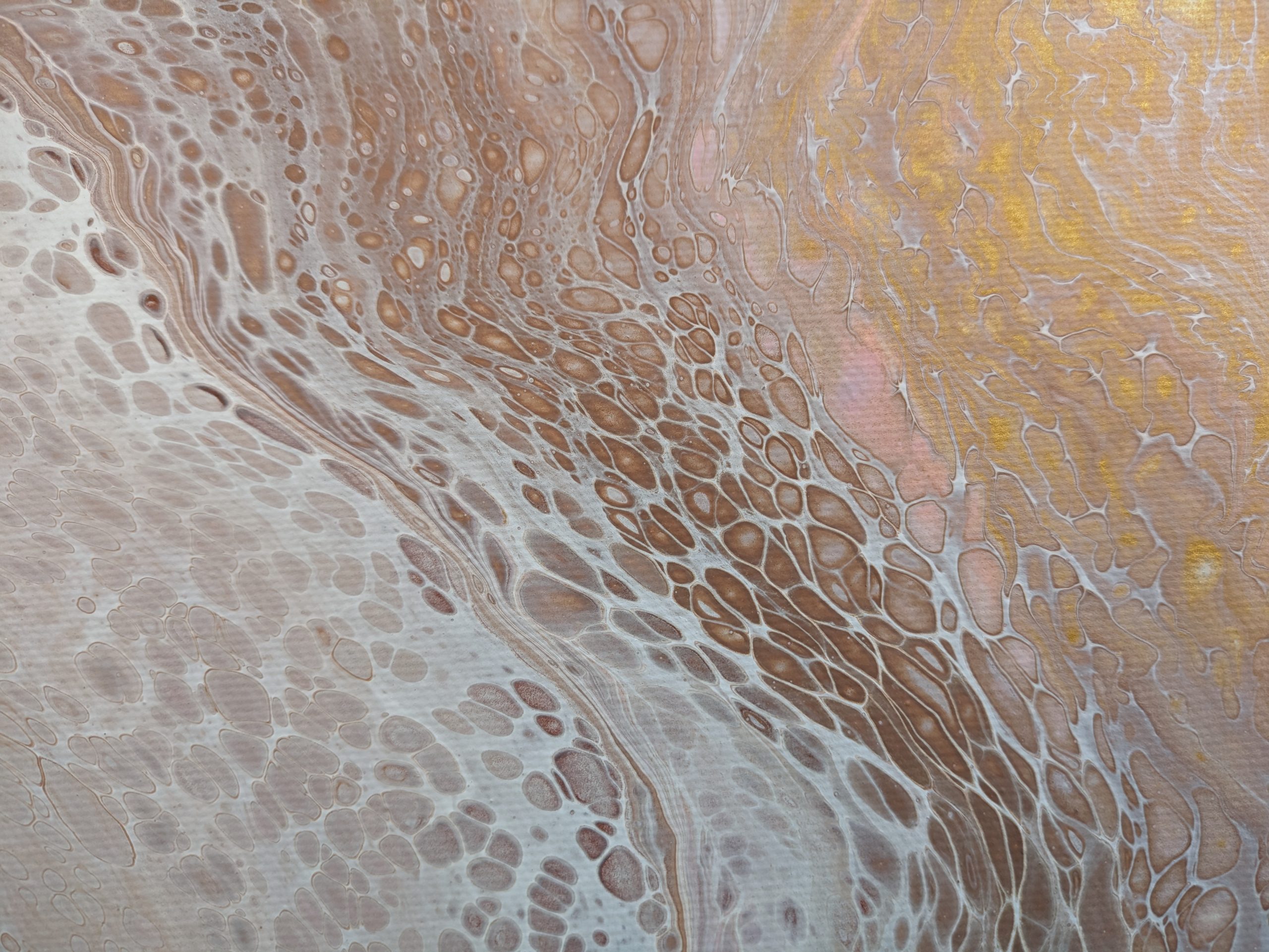 Pxl 20230923 025855005 Pxl 20230923 025855005