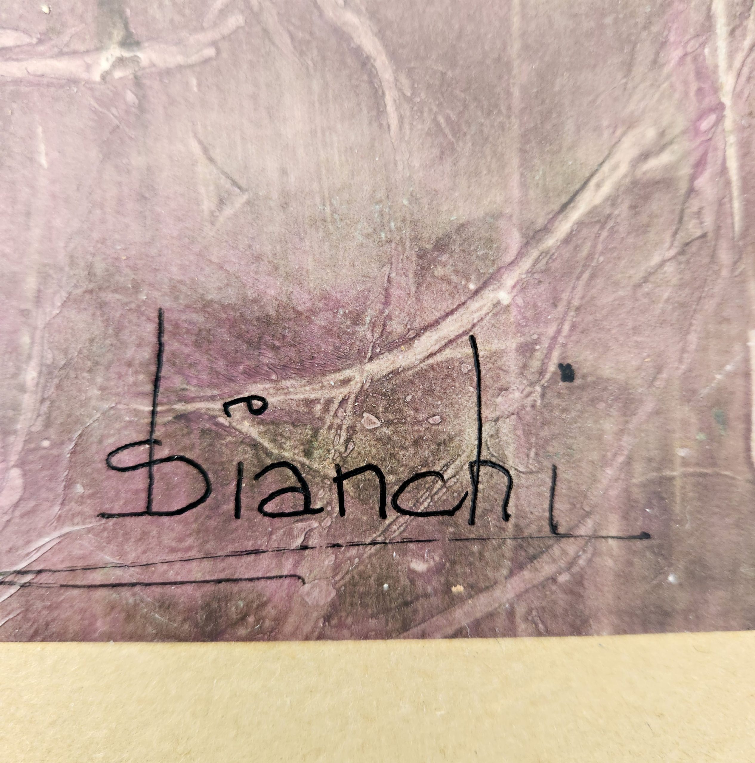 Treasured Memories Signatiure On Back