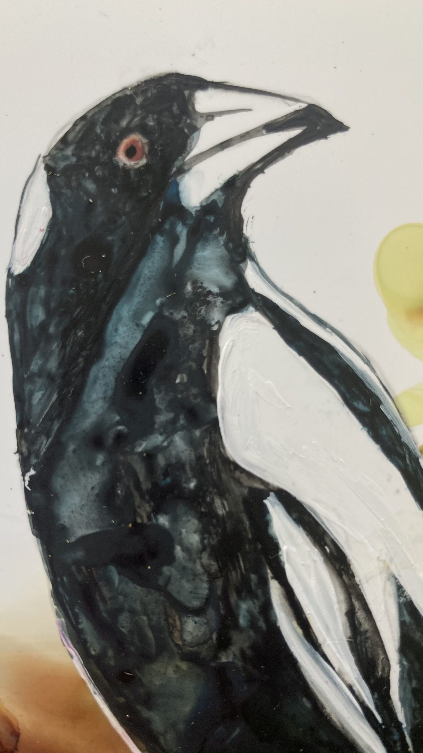 Mbj 458 Magpie Detail