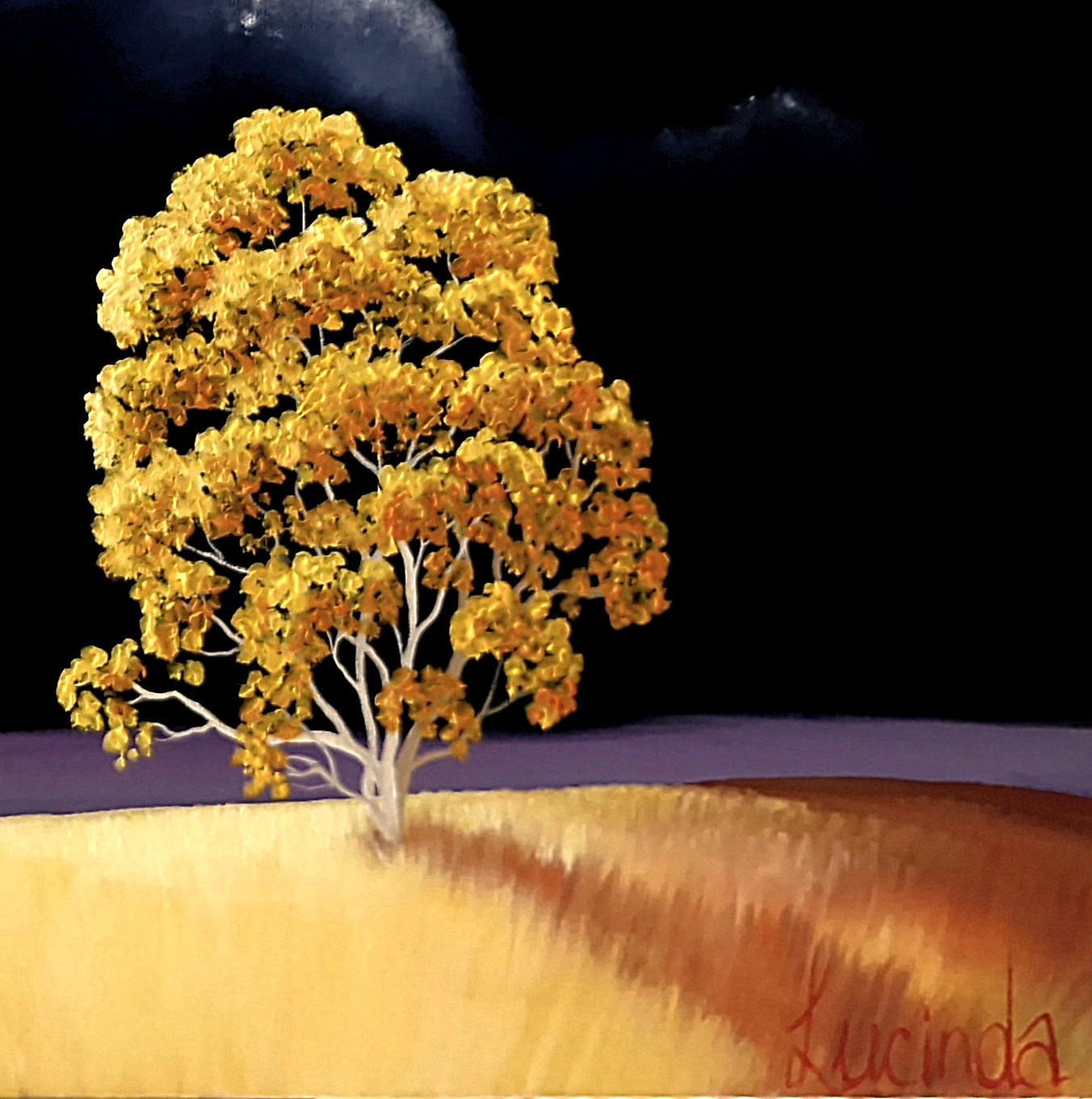 Memory Of The Sun Lucinda Leveille 1