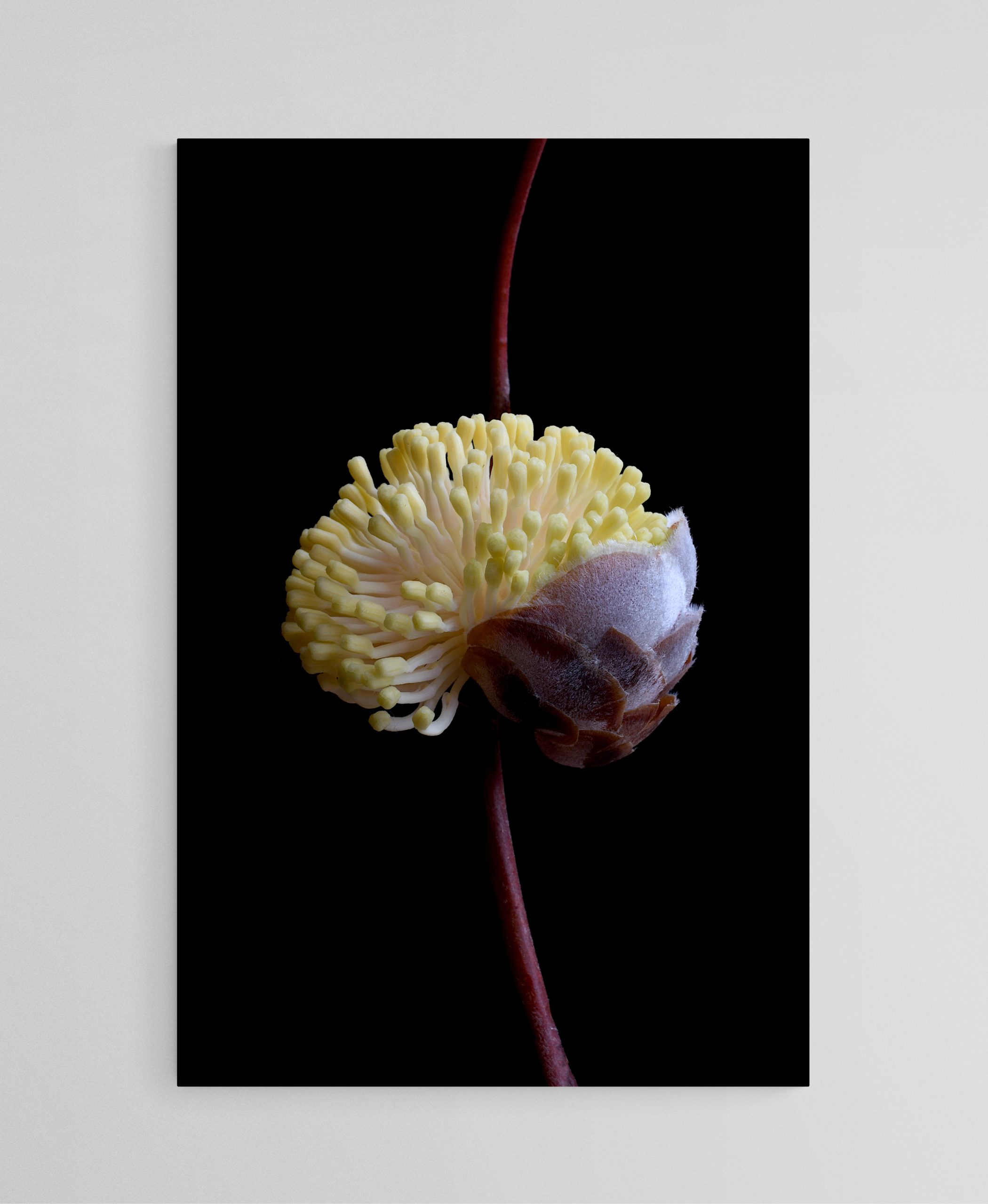 Empty Room 2025 04 03t145546.024